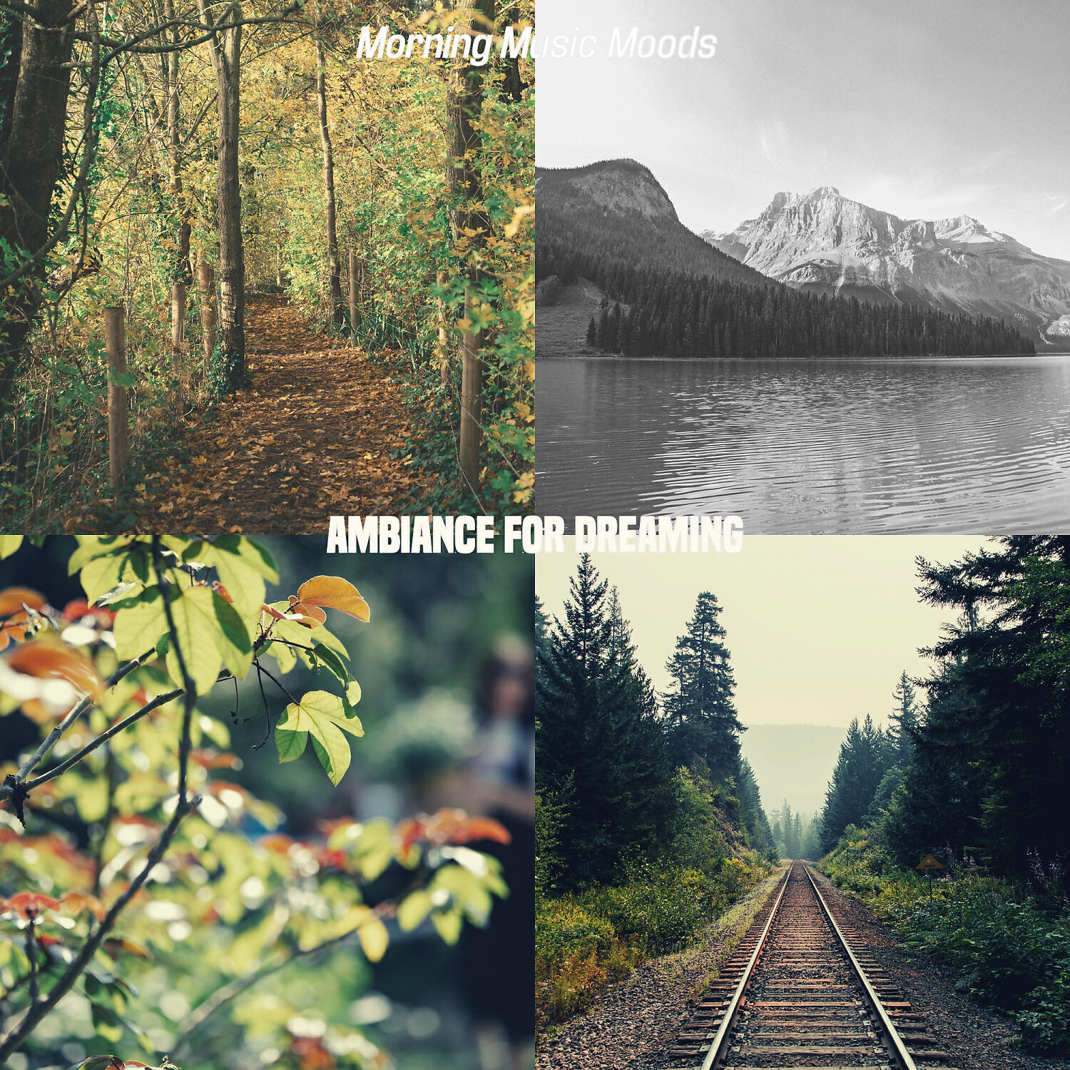Релиз Ambiance for Dreaming