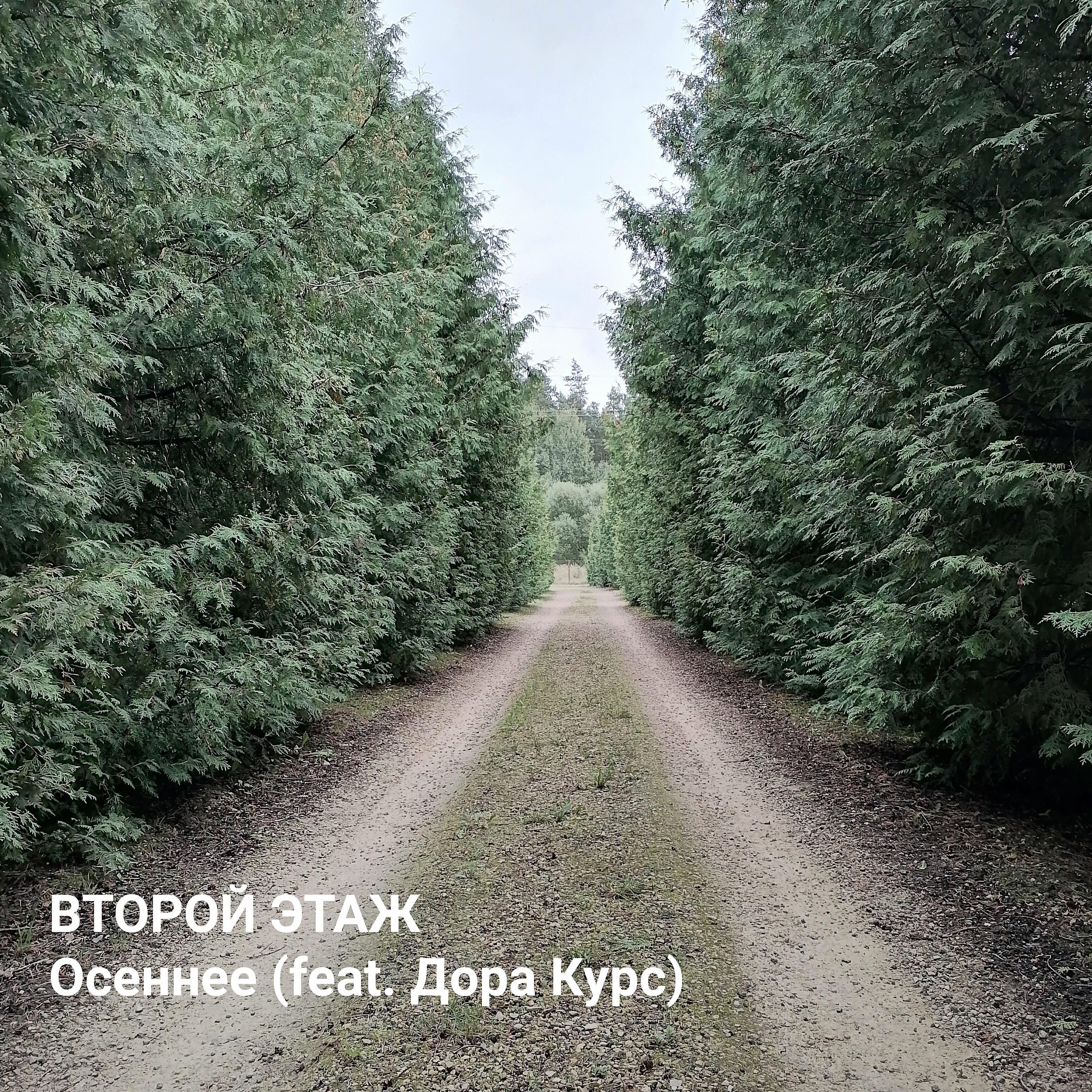 Постер альбома Осеннее (feat. Дора Курс)
