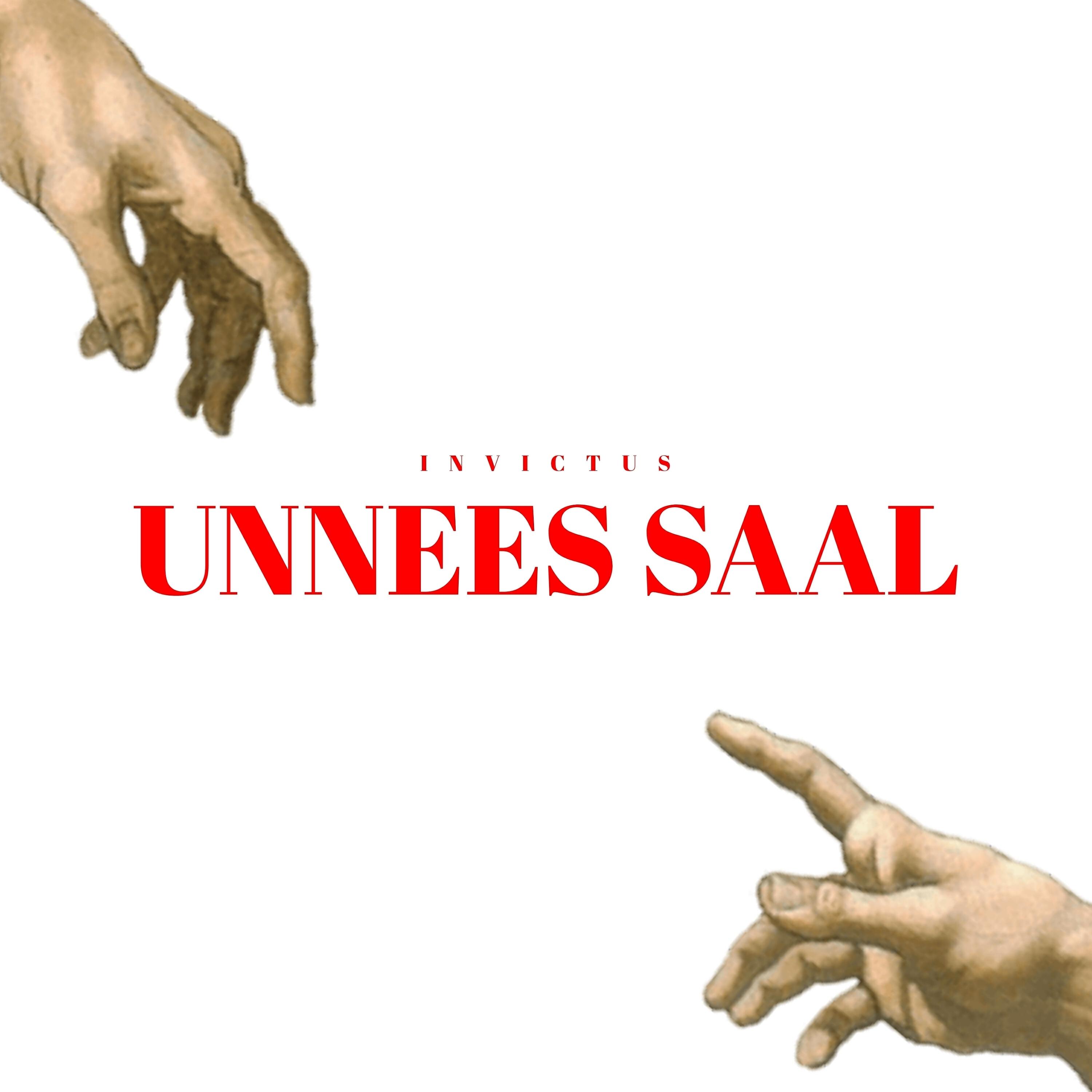Релиз Unnees Saal