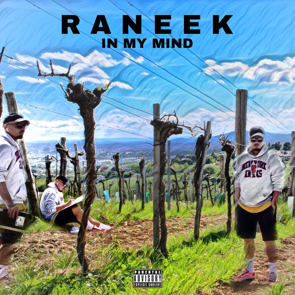 Релиз In My Mind