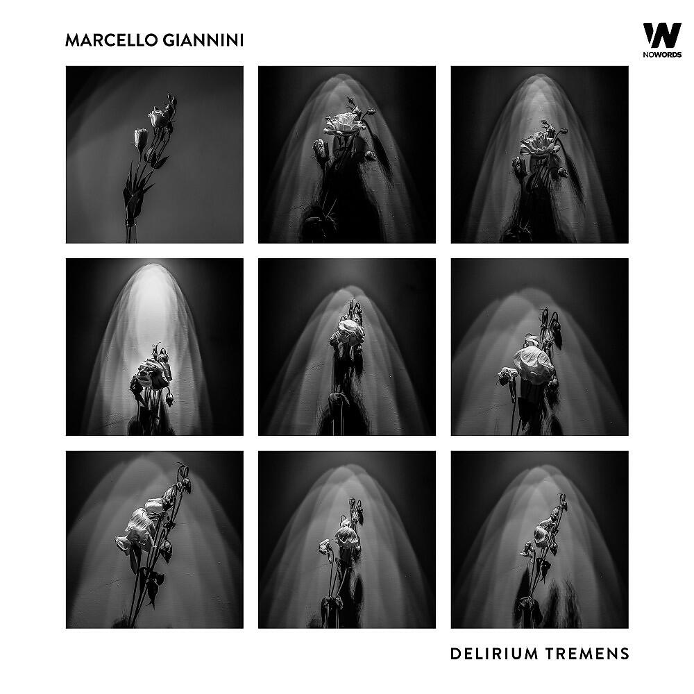 Релиз Delirium Tremens