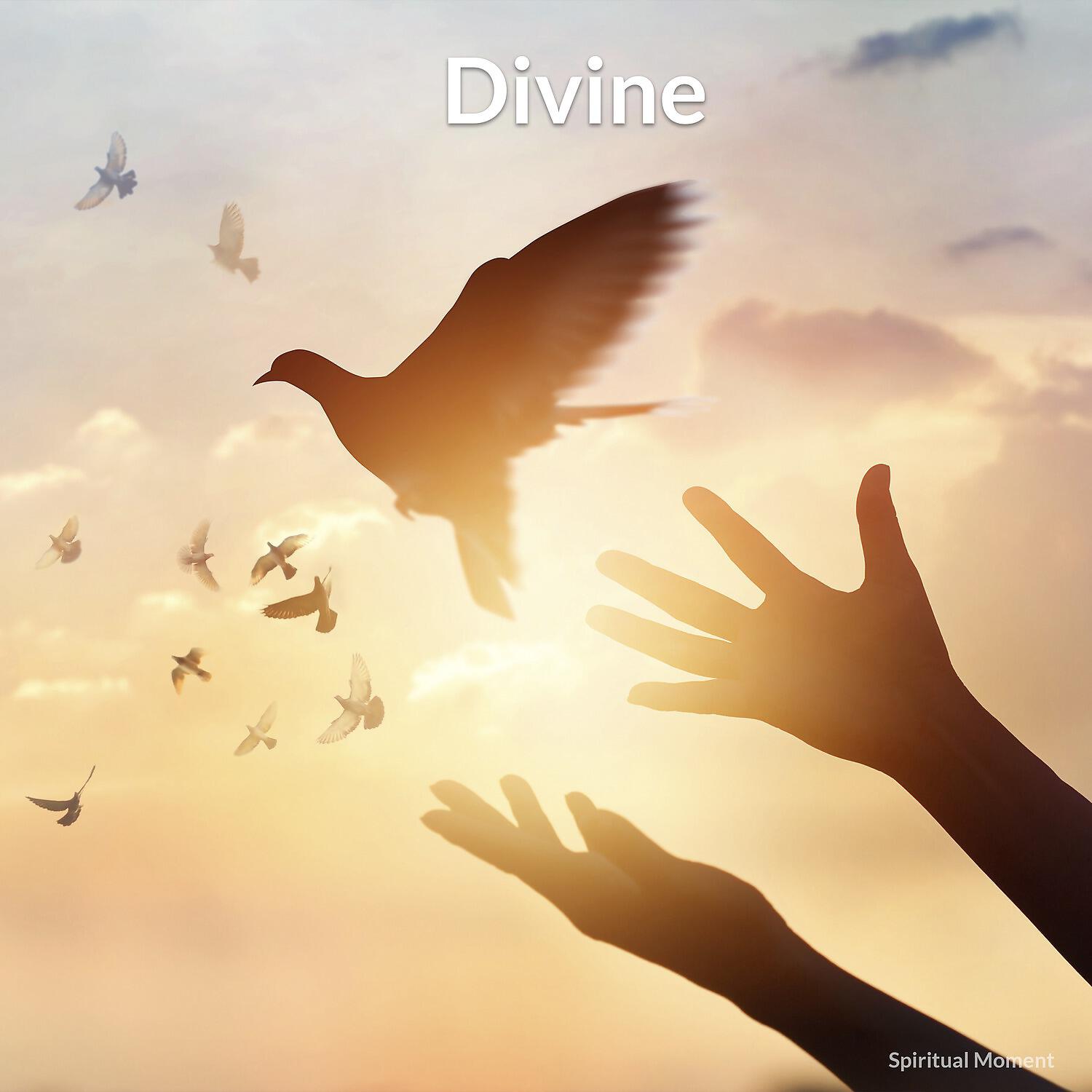 Релиз Divine