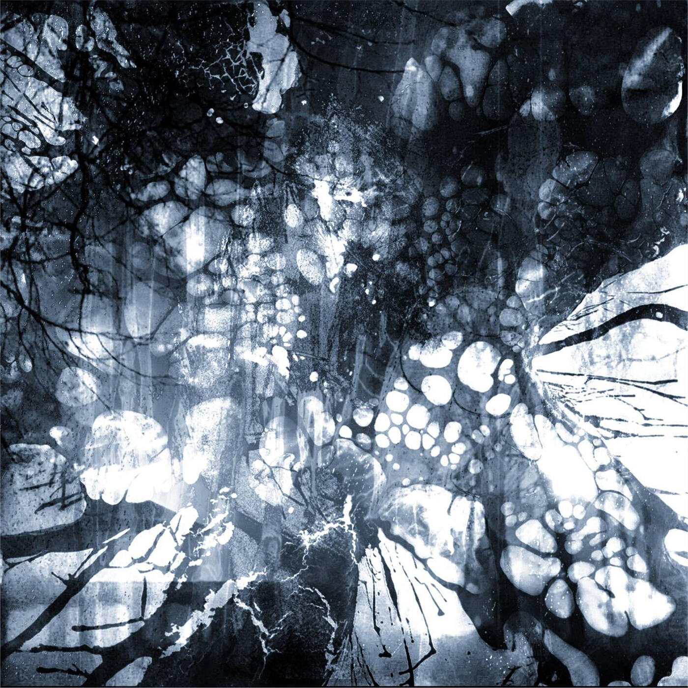Релиз funeral for my sanity