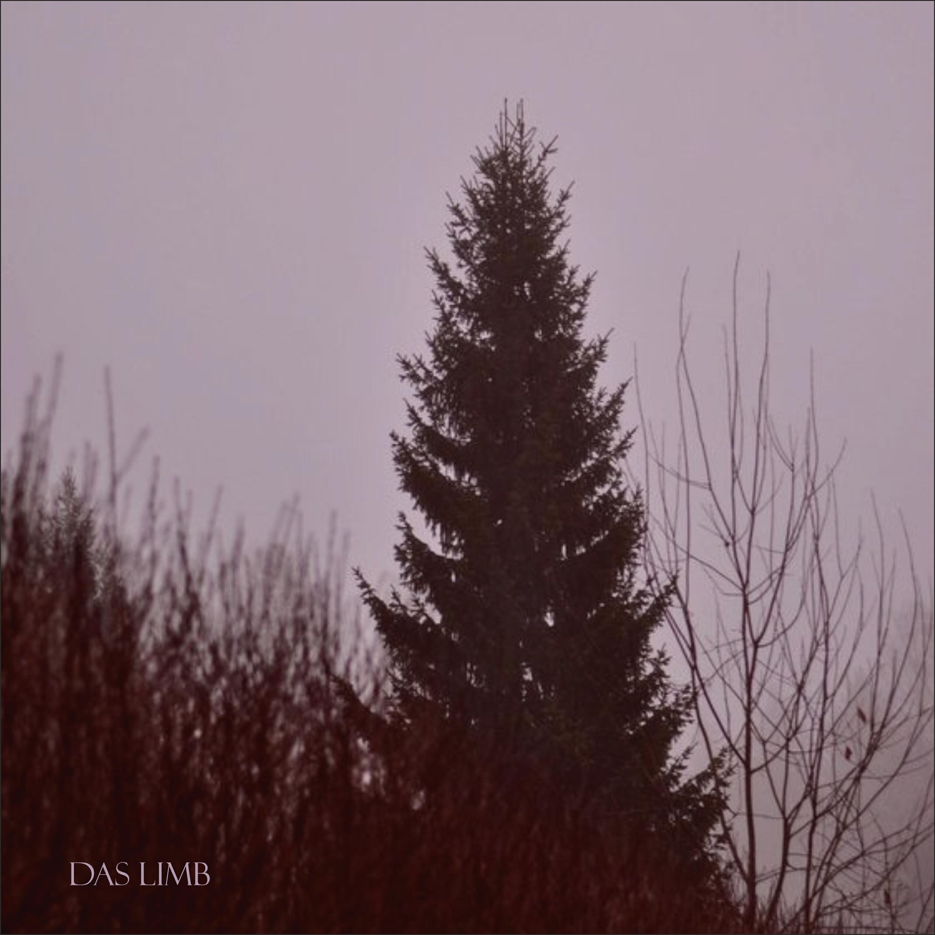 Релиз Evil for Rest