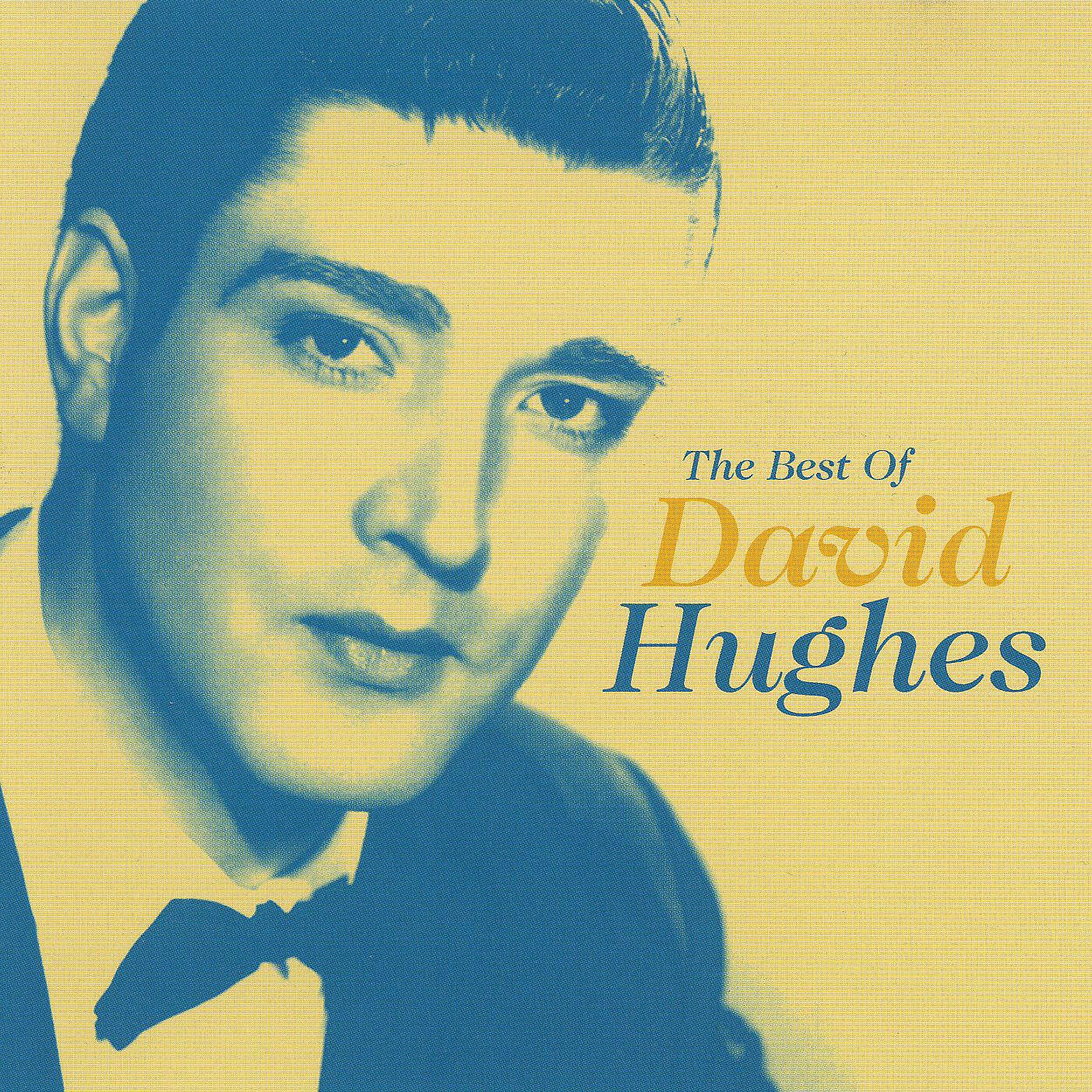 Релиз The Best Of David Hughes