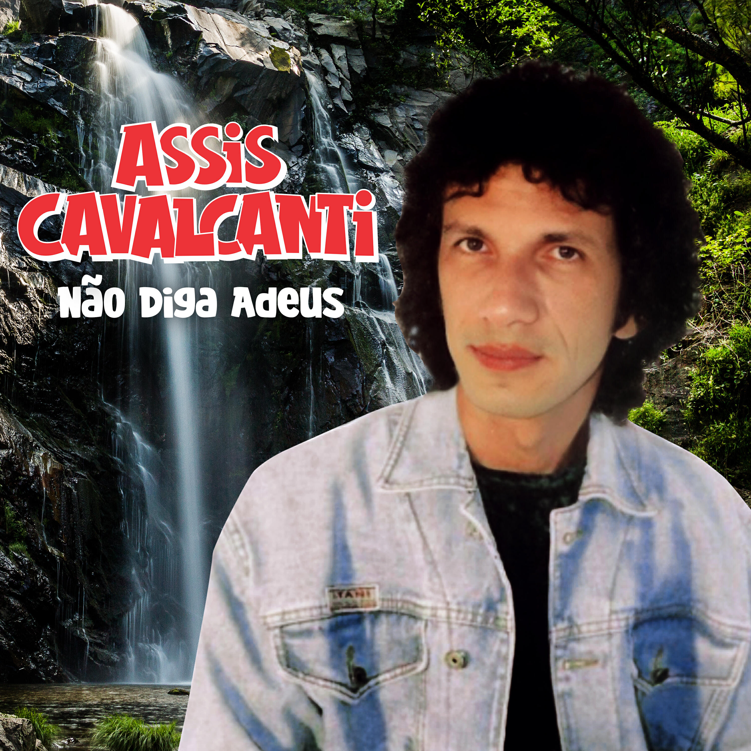 Постер альбома Não Diga Adeus