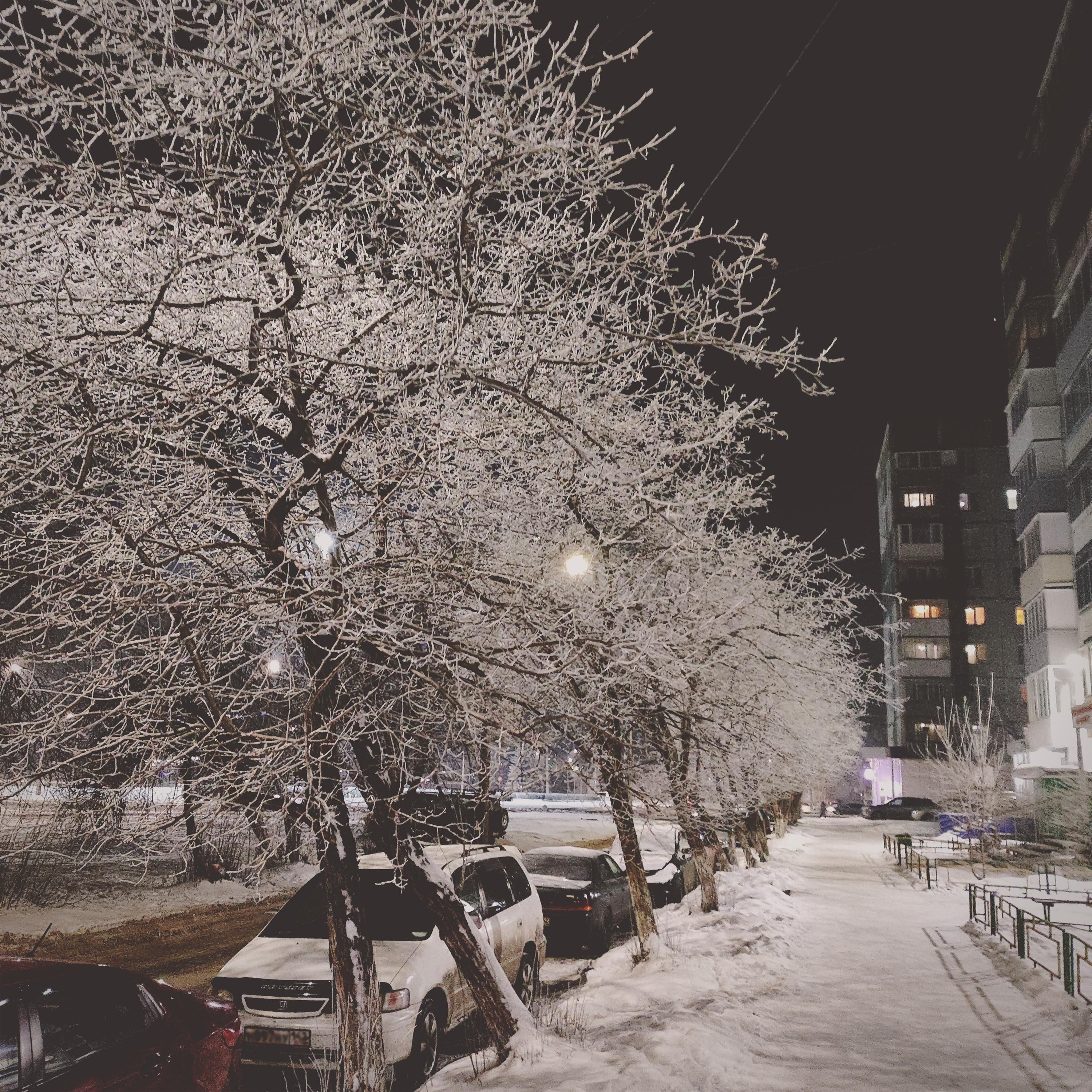 Релиз long night