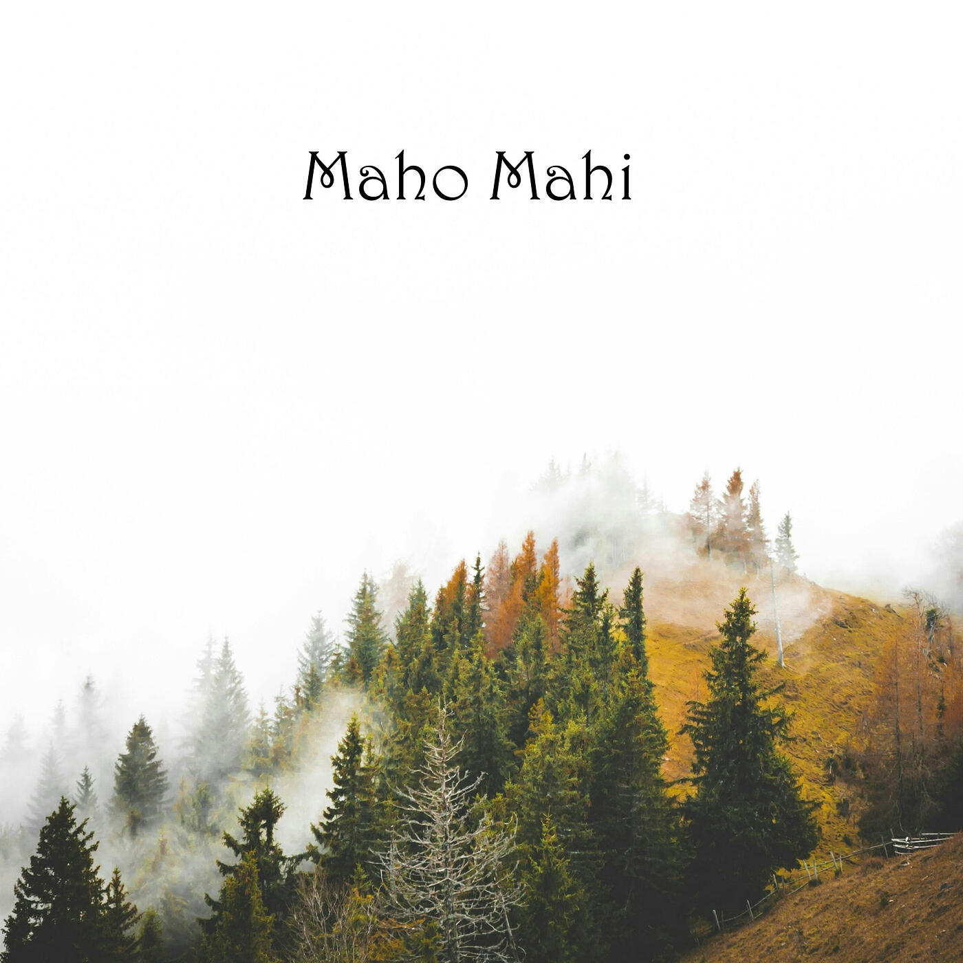 Релиз Maho Mahi
