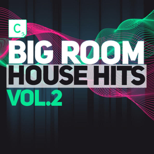 Релиз Big Room House (Vol. 2)