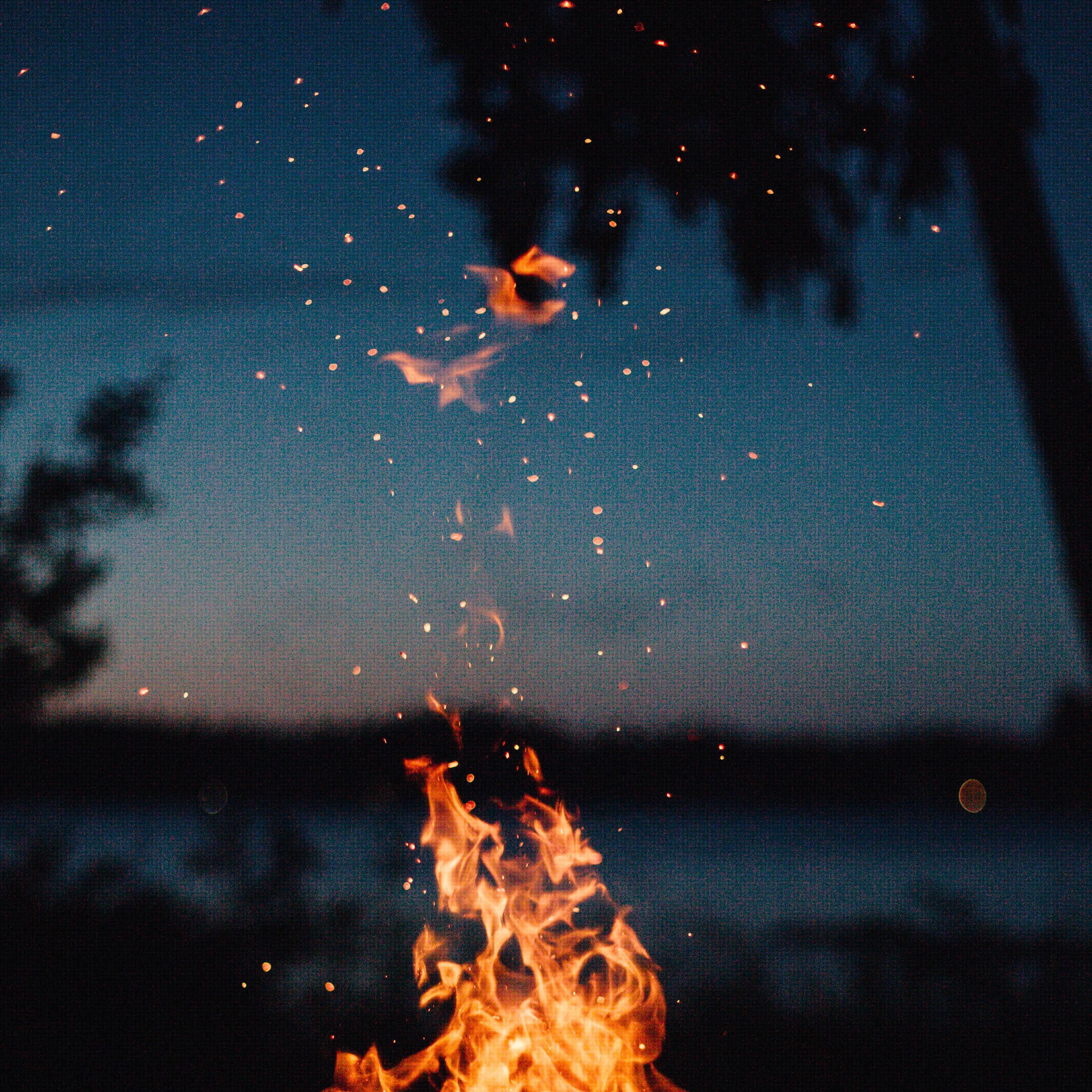 Релиз Toasty