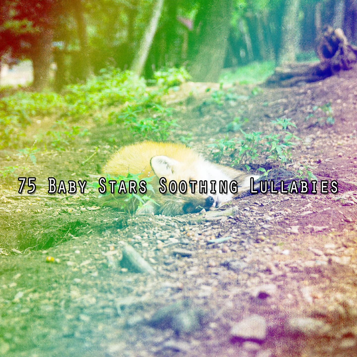 Релиз 75 успокаивающих колыбельных Baby Stars