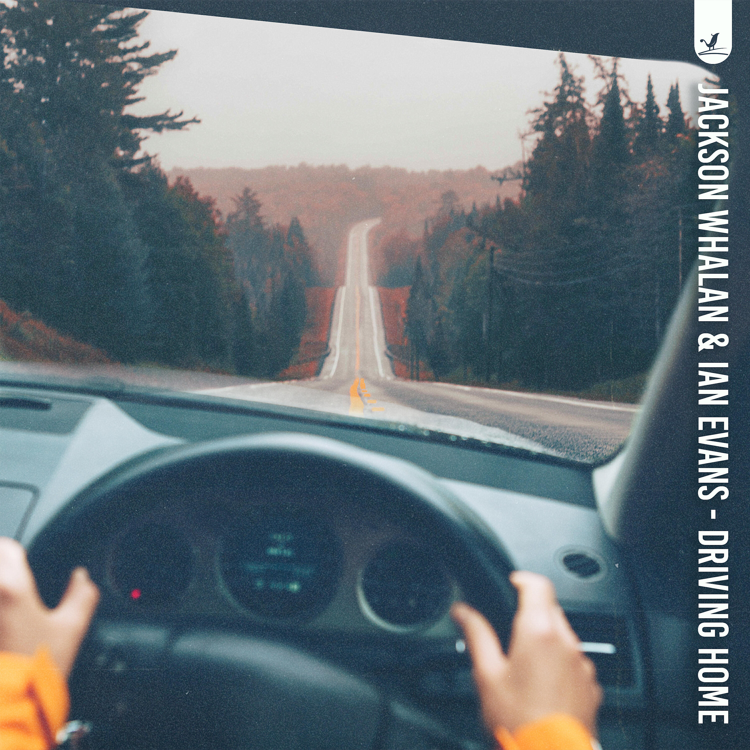 Релиз Driving Home