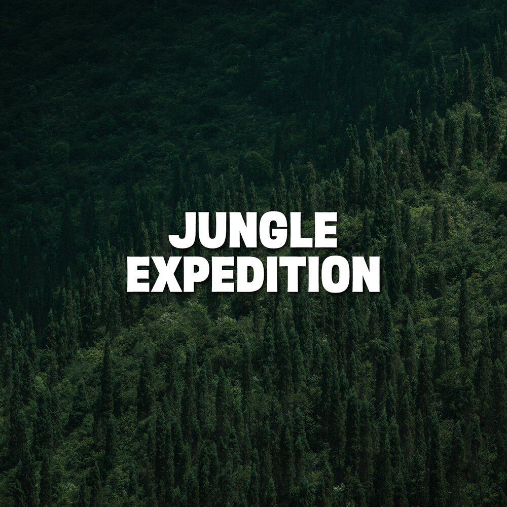 Релиз Jungle Expedition