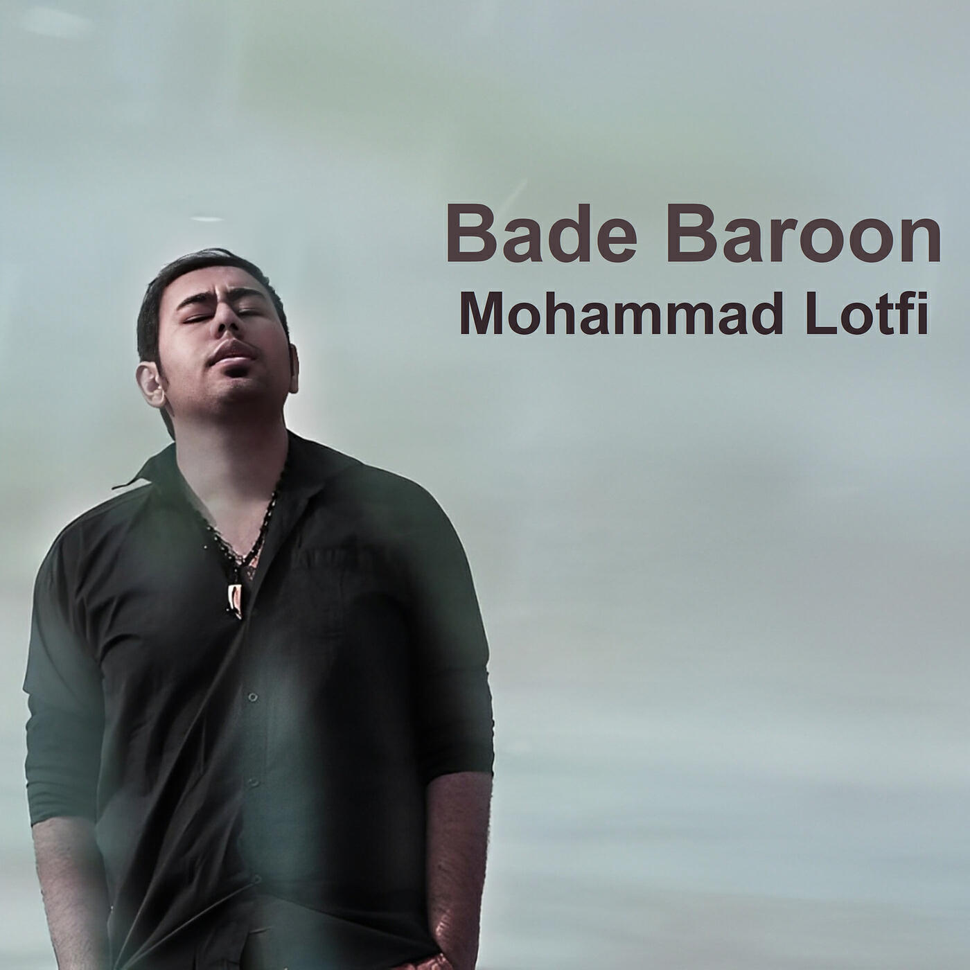 Постер альбома Bade Baroon