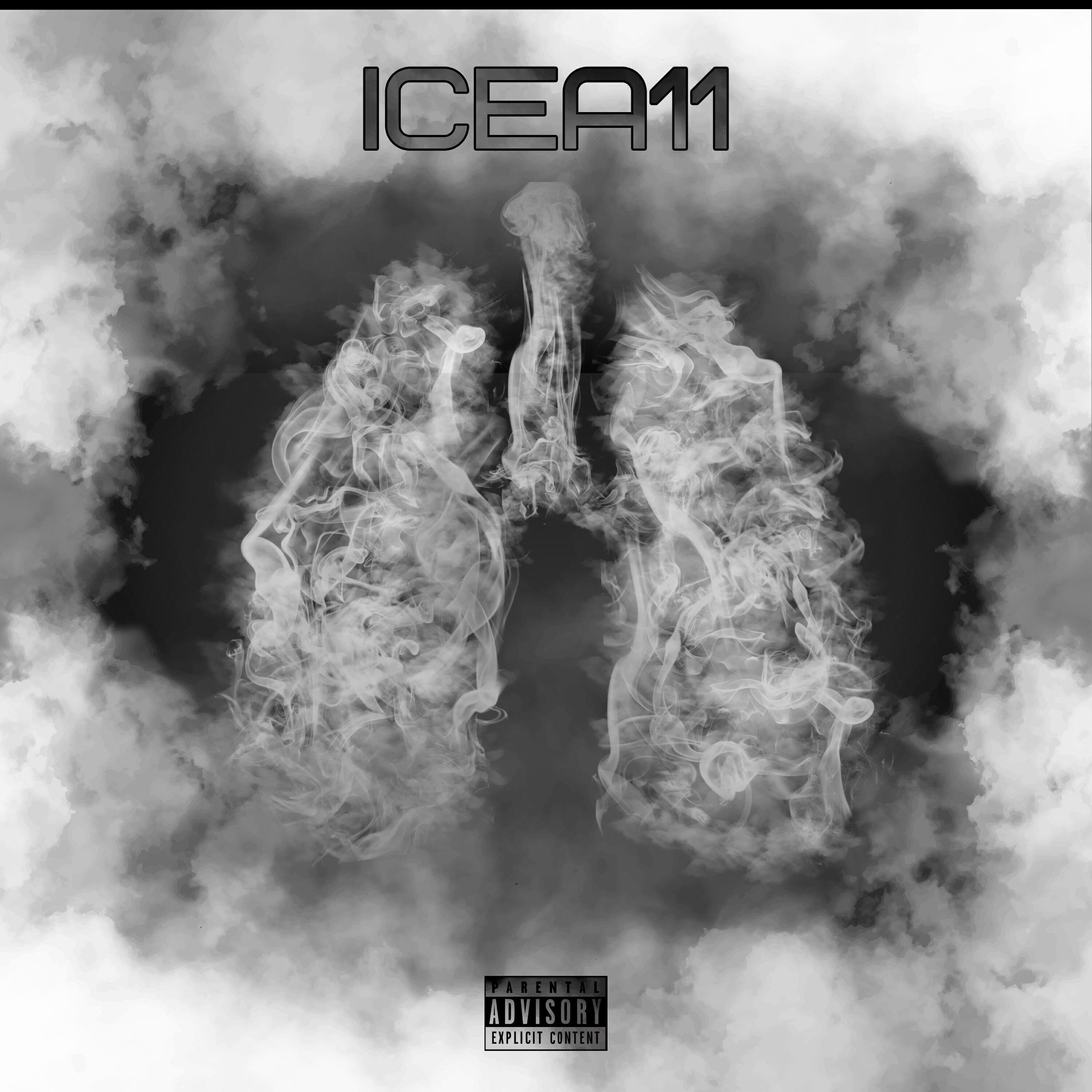 ICEA11