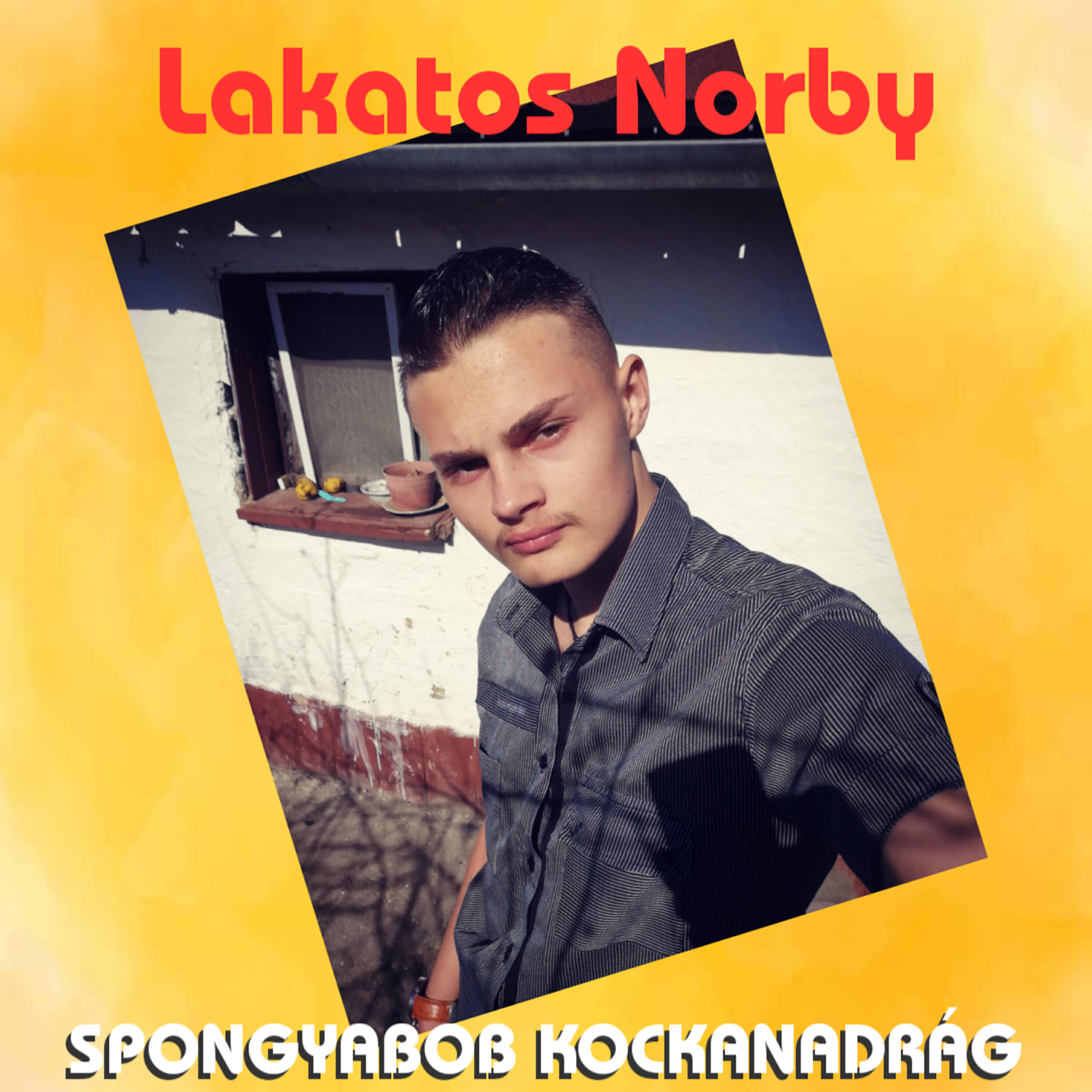 Lakatos Norby