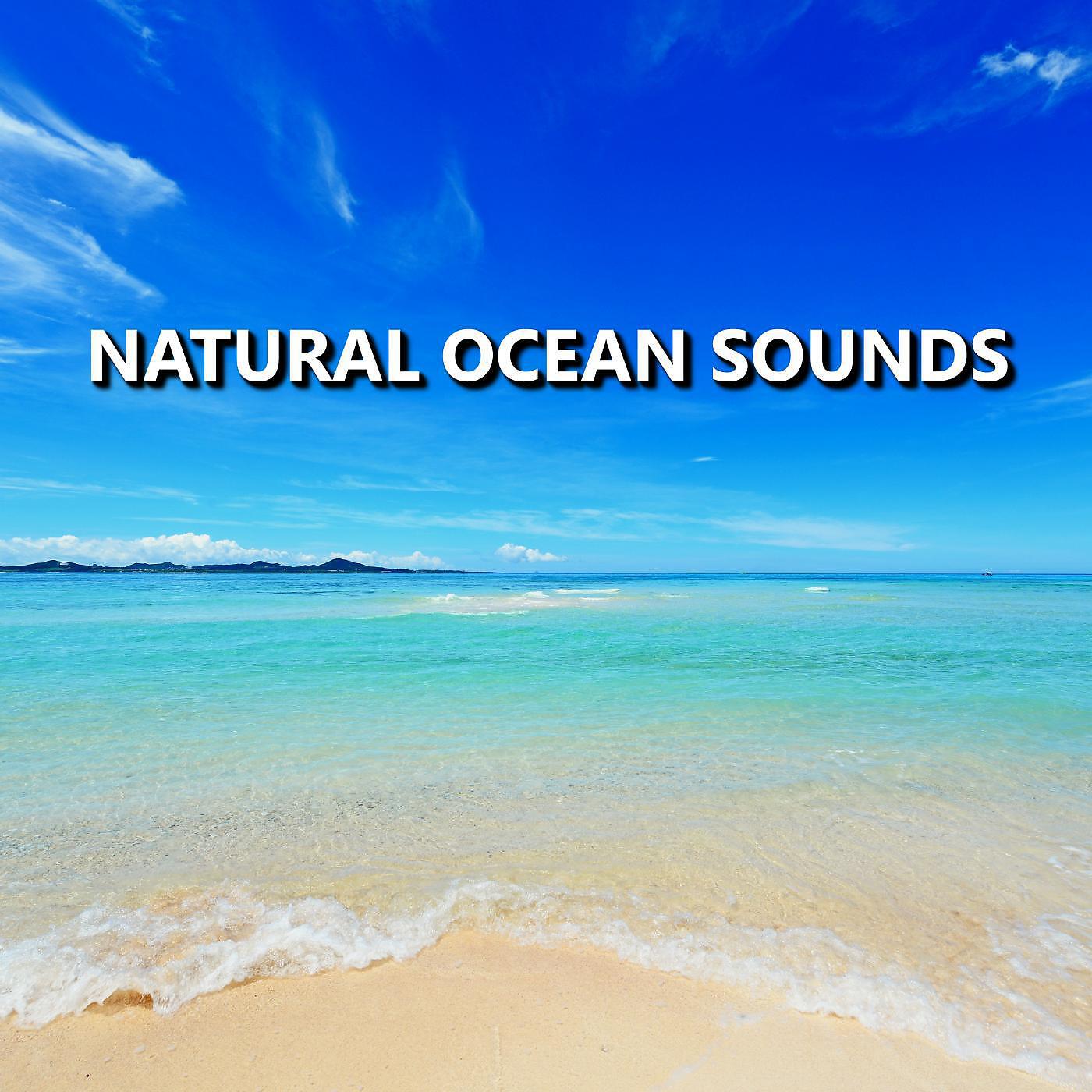 Постер альбома Natural Ocean Sounds