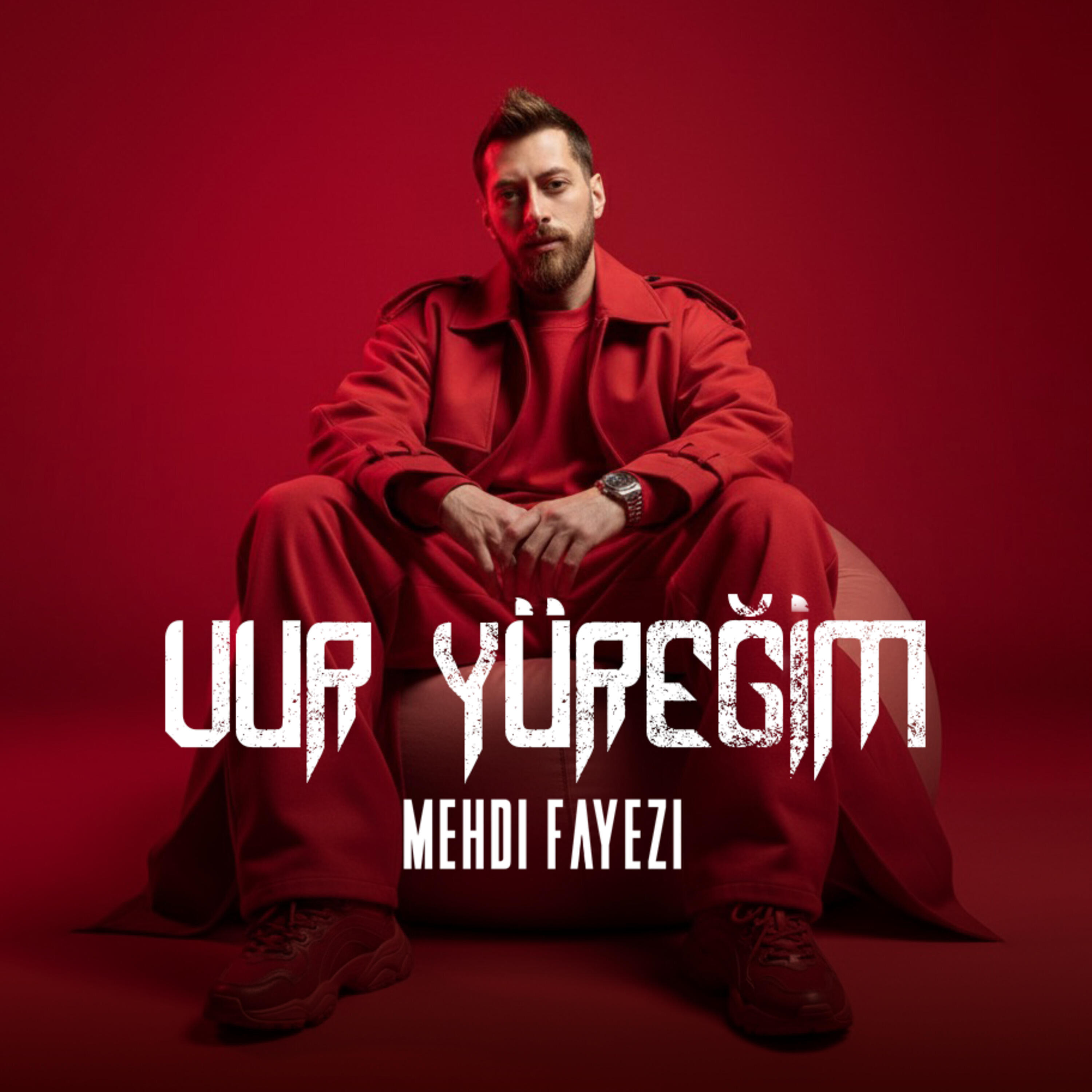 Mehdi fayezi