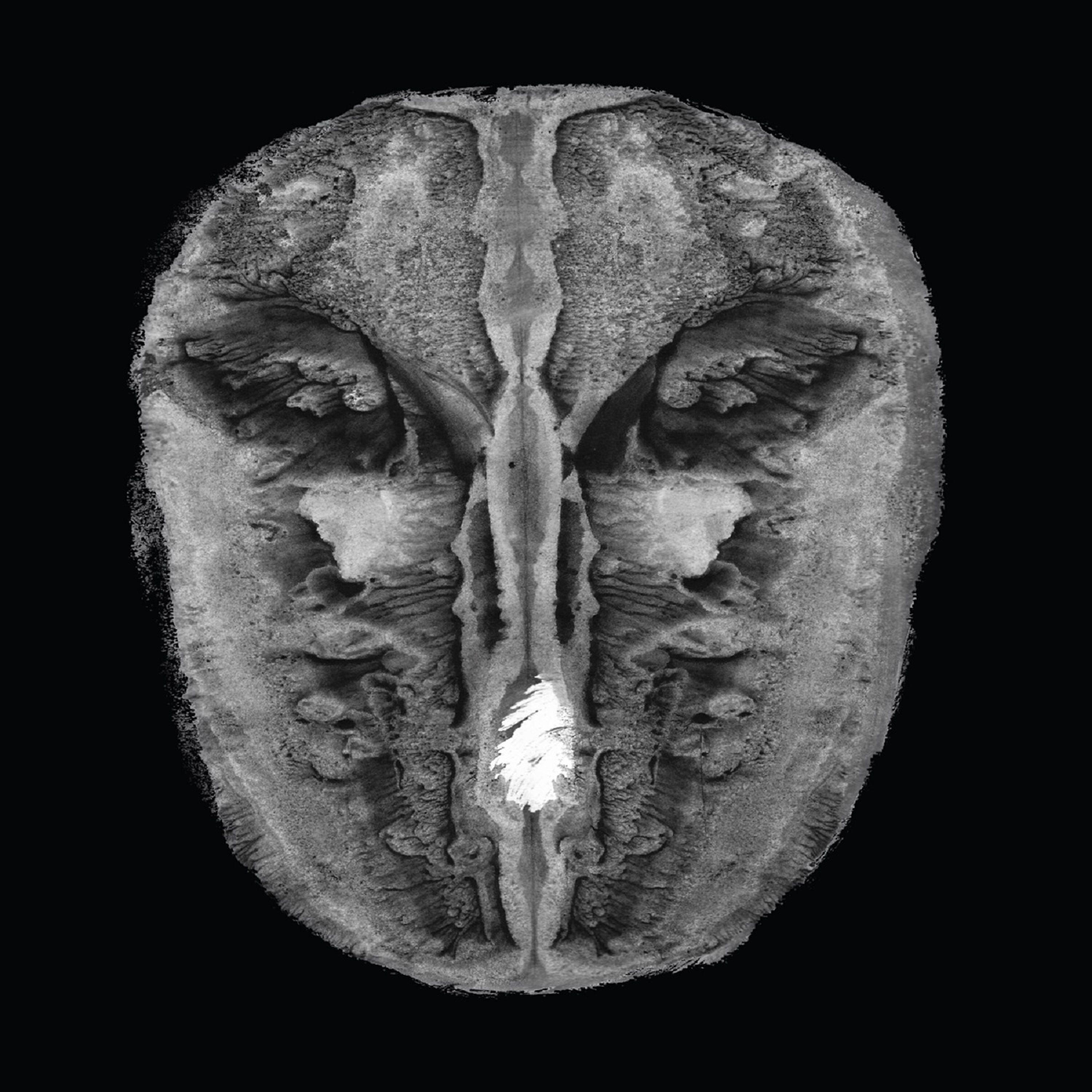Релиз Die Gesänge des Maldoror