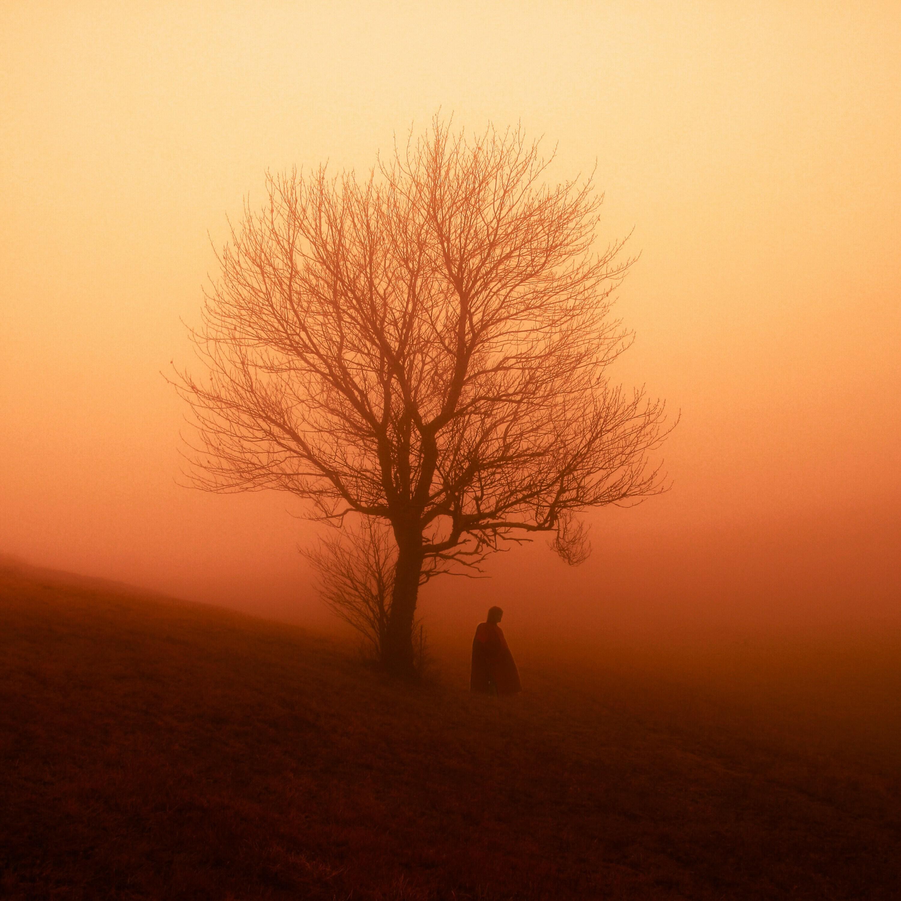 Релиз Isolated
