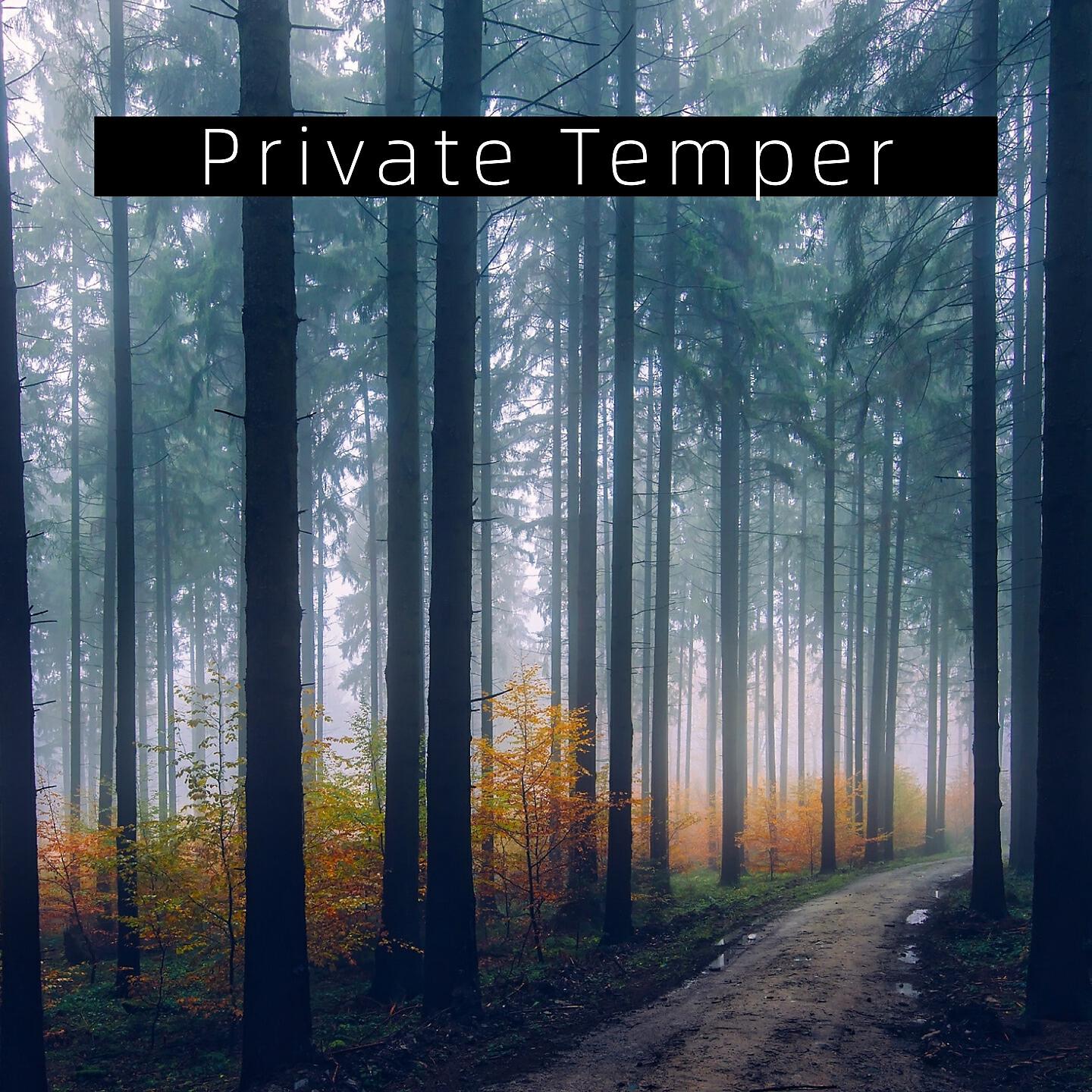 Релиз Private Temper