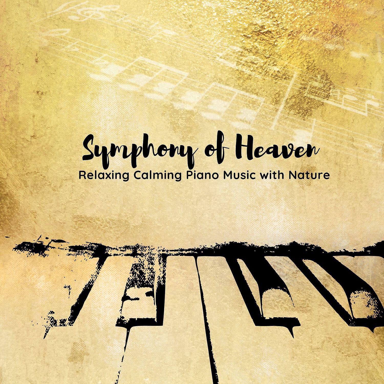 Релиз Symphony of Heaven: Relaxing Calming Piano Music with Nature
