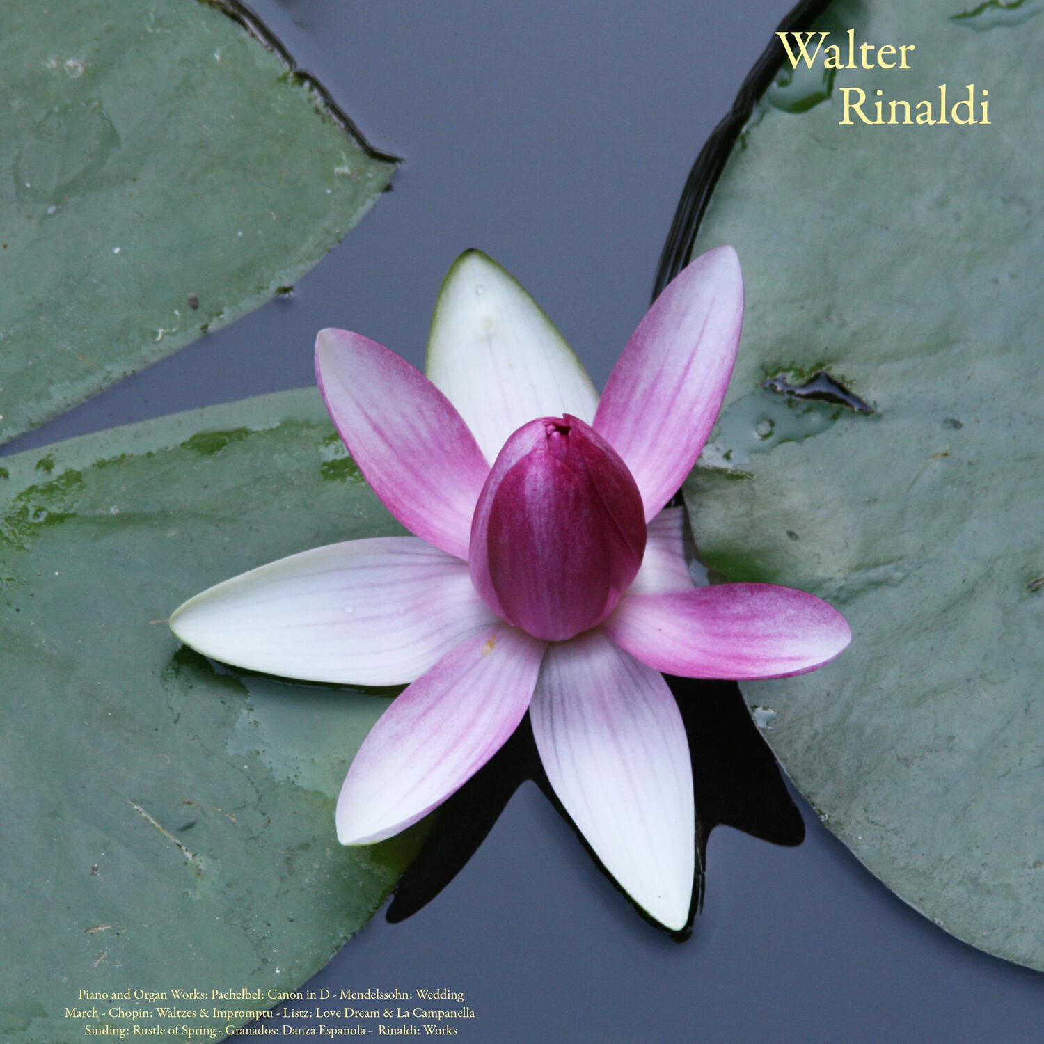 Релиз Pachelbel: Canon in D - Mendelssohn: Wedding March - Chopin: Waltzes & Impromptu - Listz: Love Dream