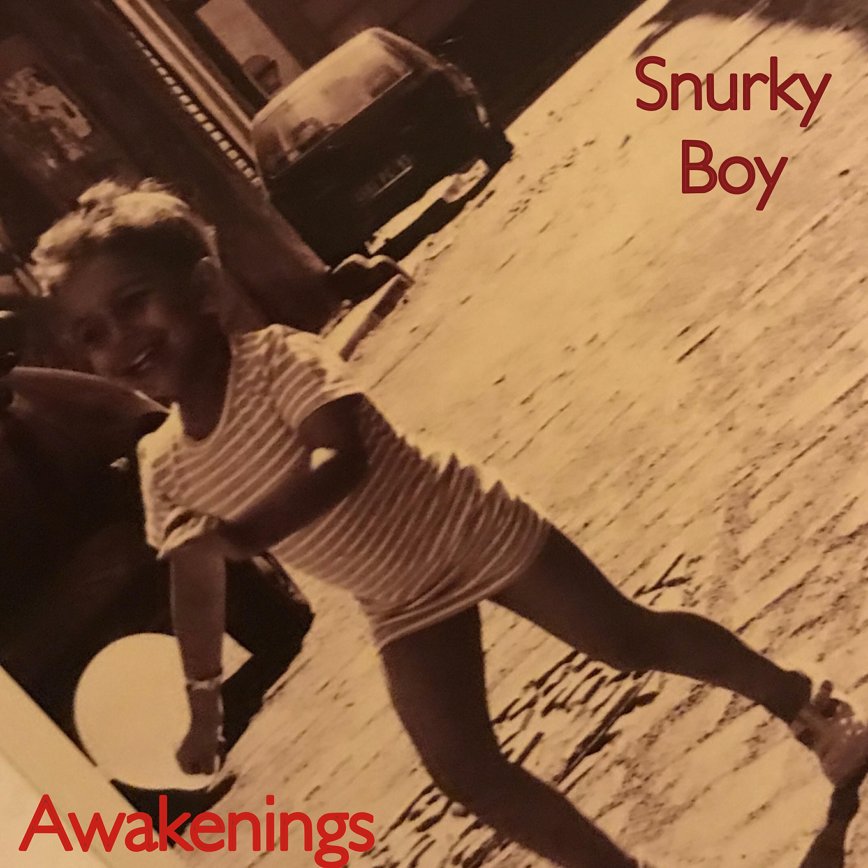 Релиз Awakenings