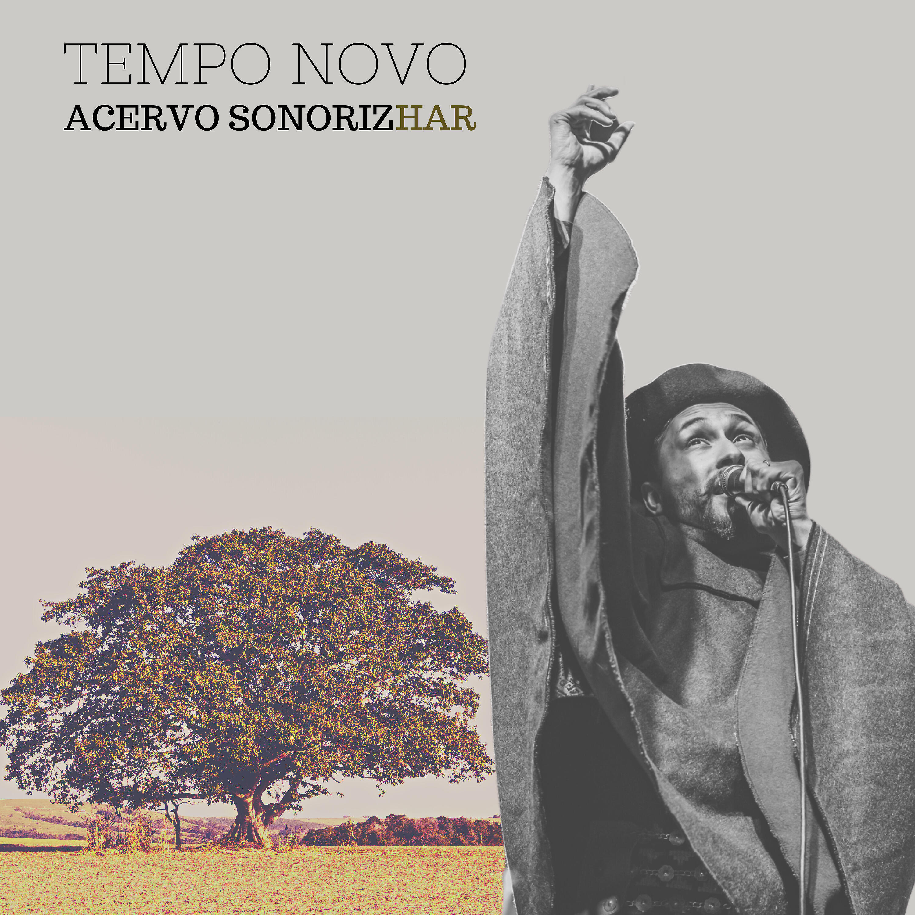 Релиз Tempo Novo - Acervo Sonorizhar