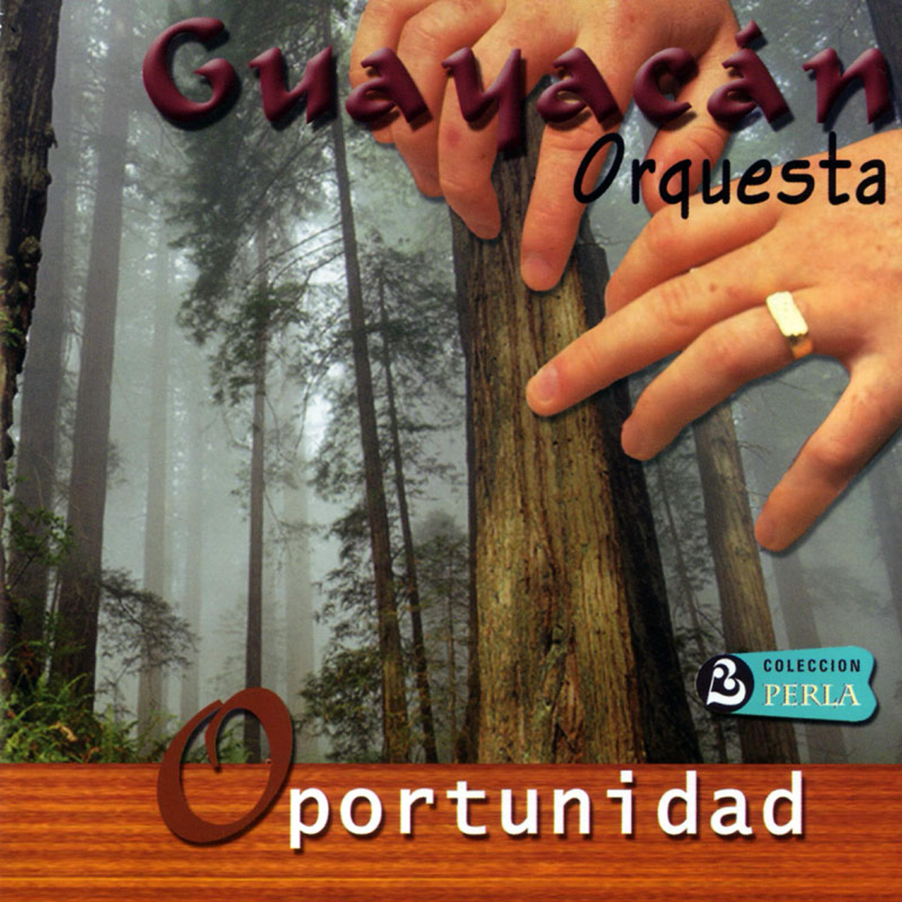Релиз Oportunidad