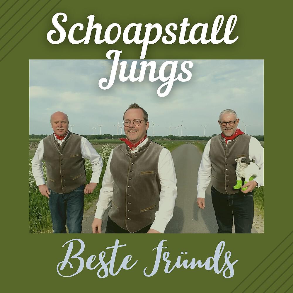 Релиз Beste Fründs (Radio Mix)