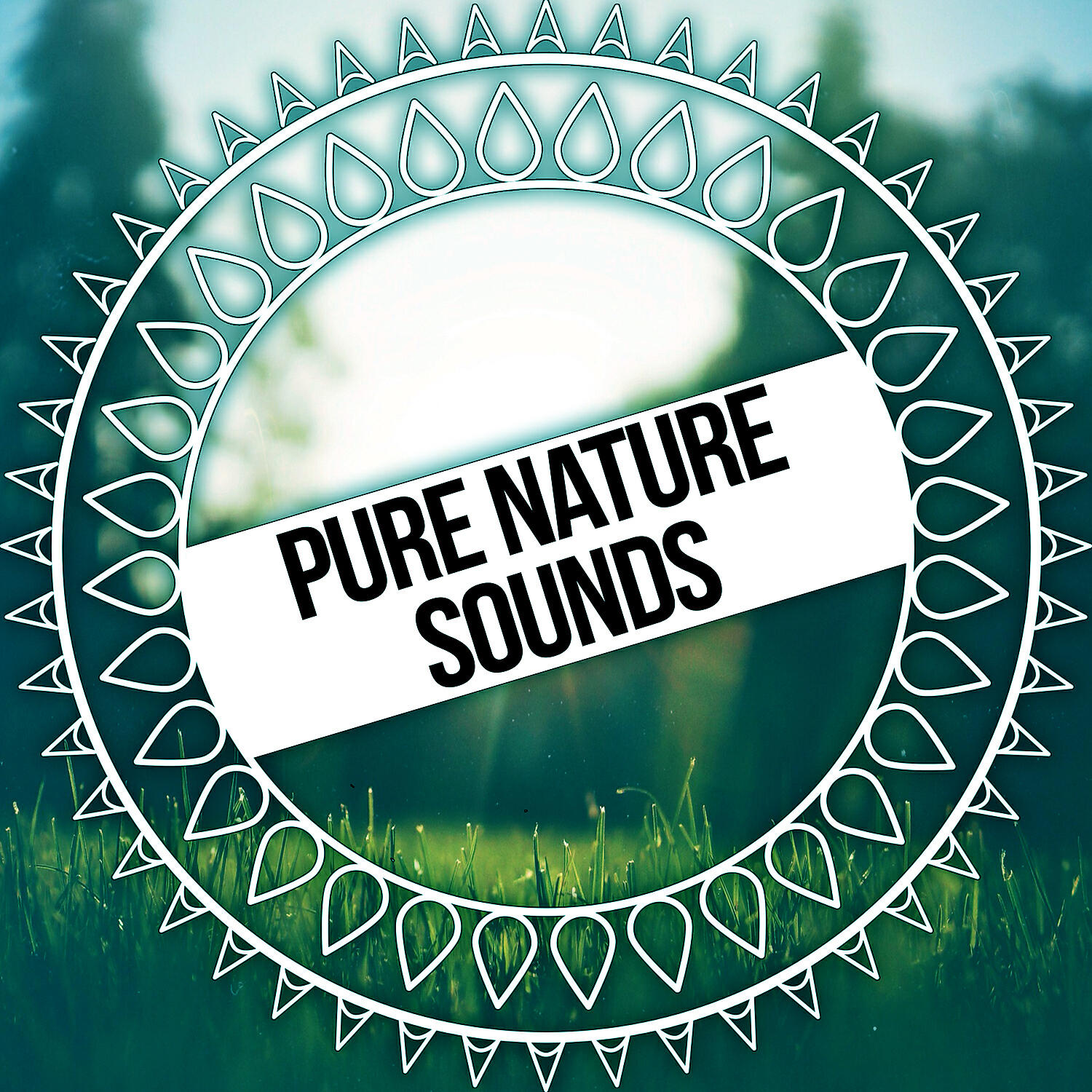 Релиз Pure Nature Sounds – Ambient Nature Sounds for Relaxation with Meditation, Best Streaming Music