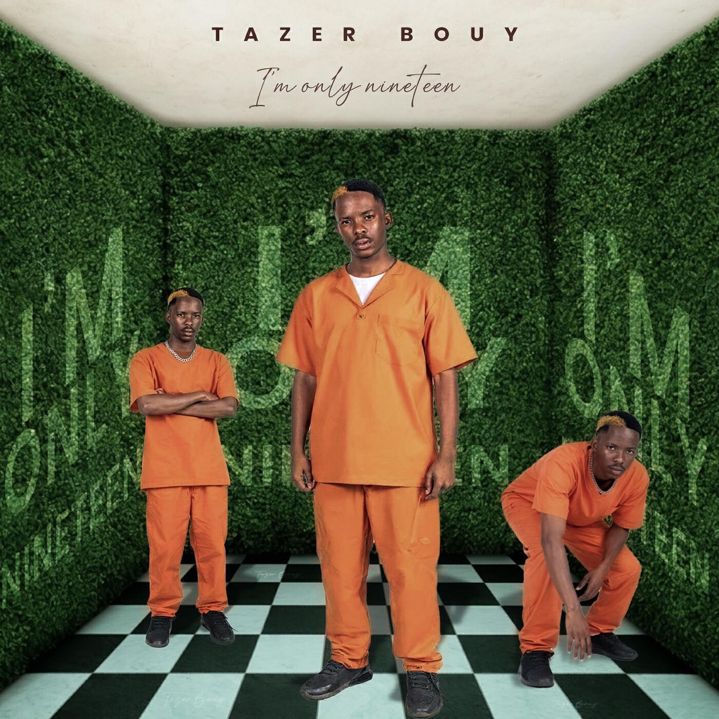 Tazer Bouy