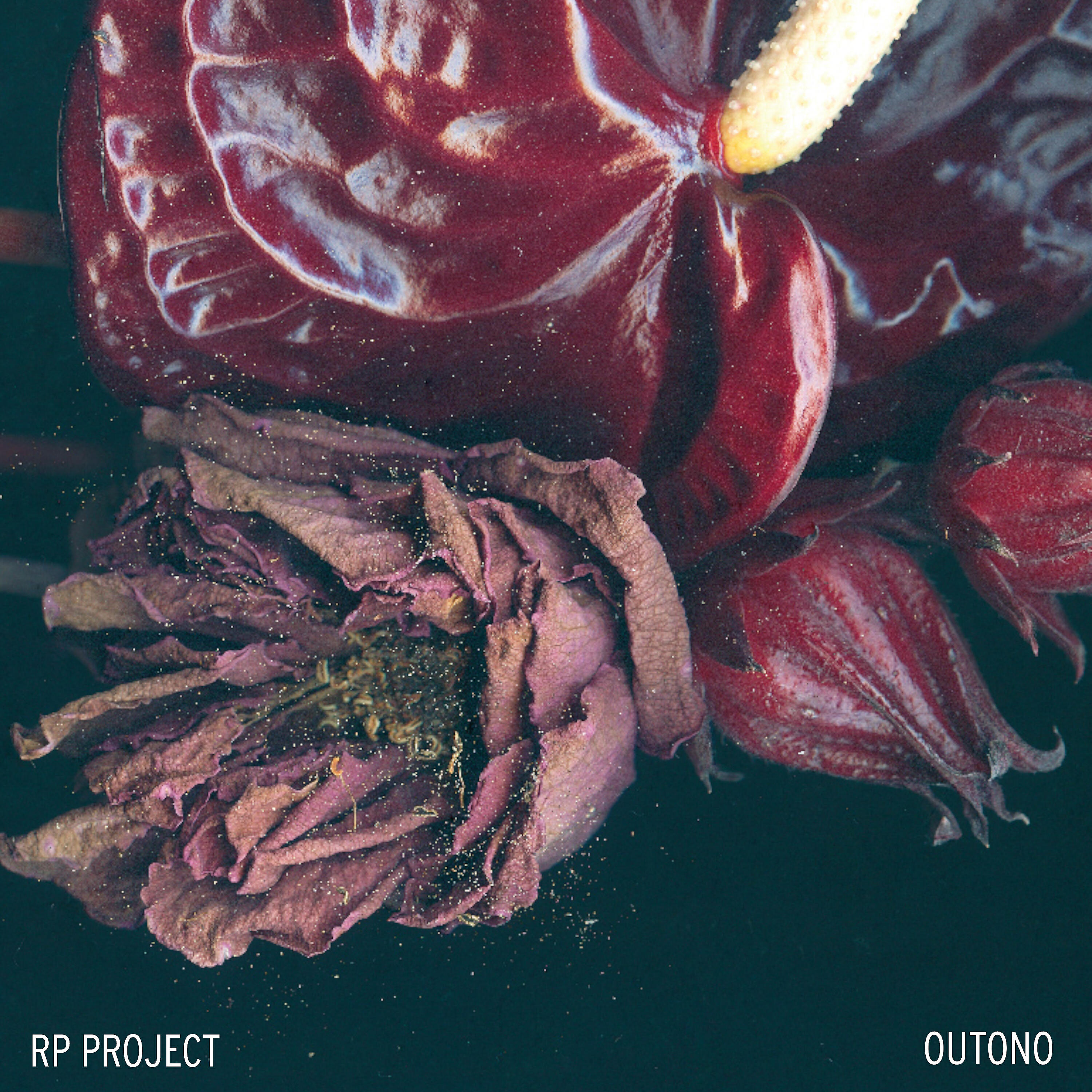 Релиз Outono