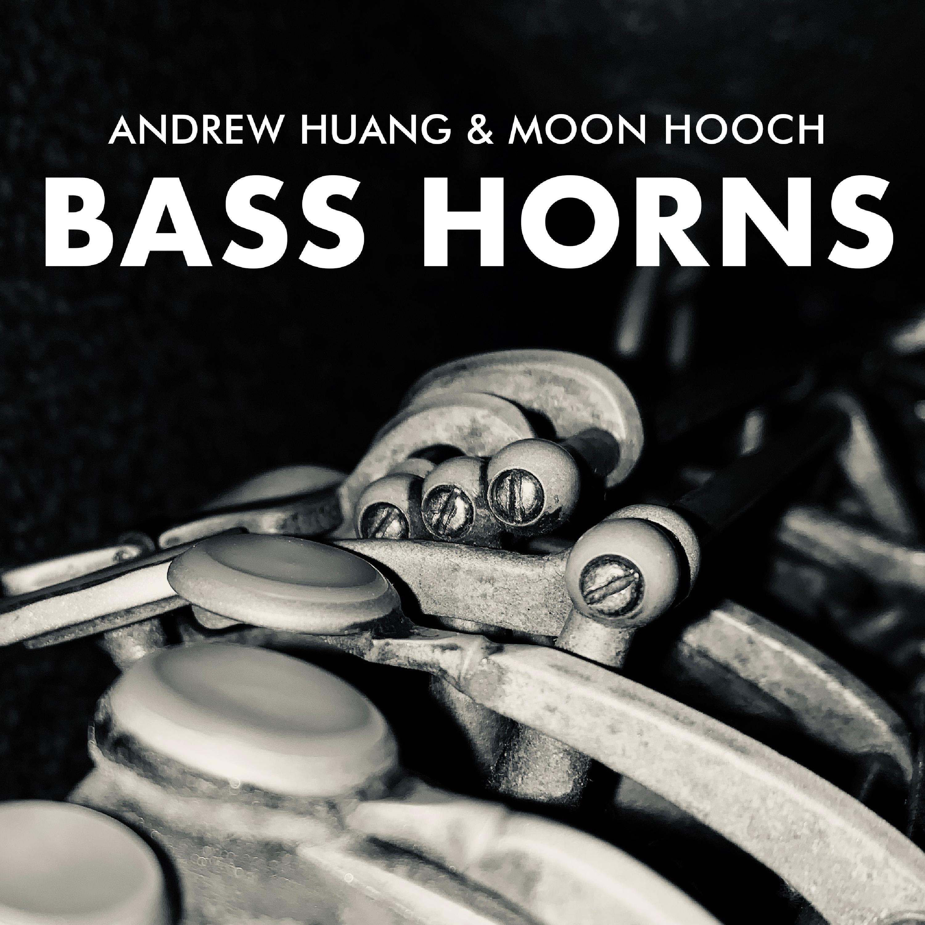 Релиз Bass Horns
