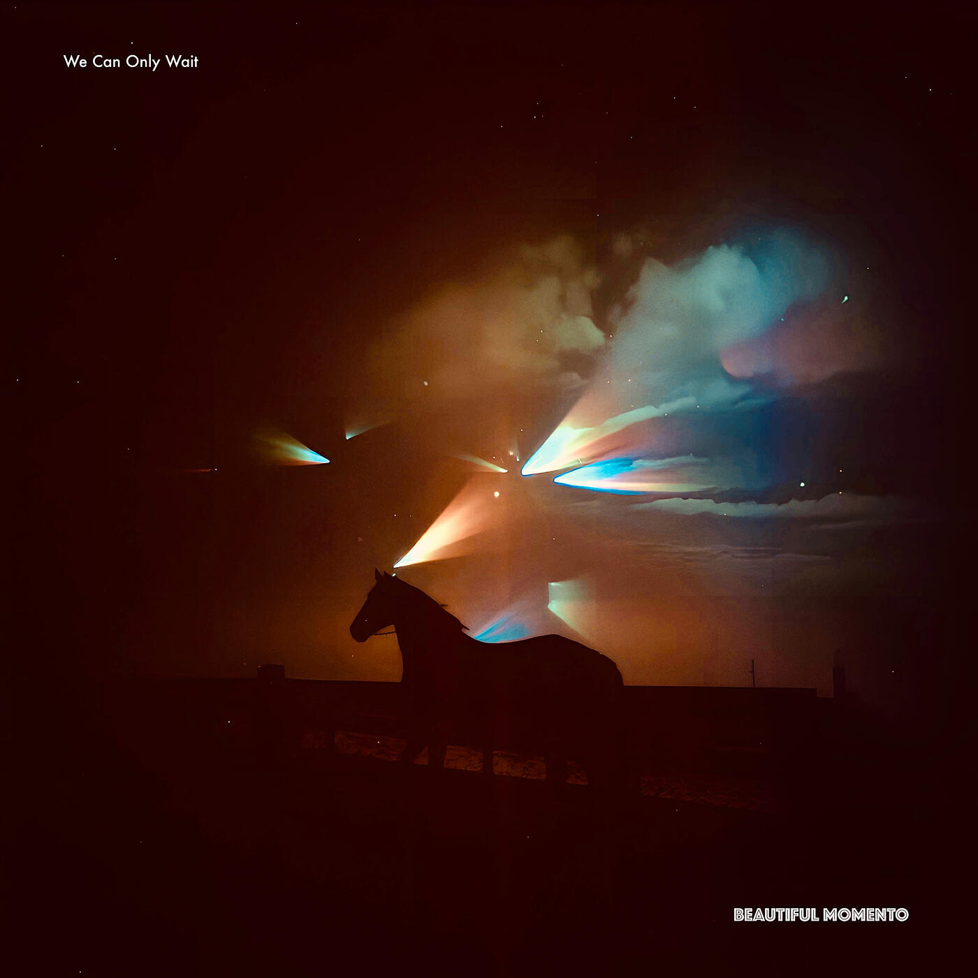 Релиз We Can Only Wait