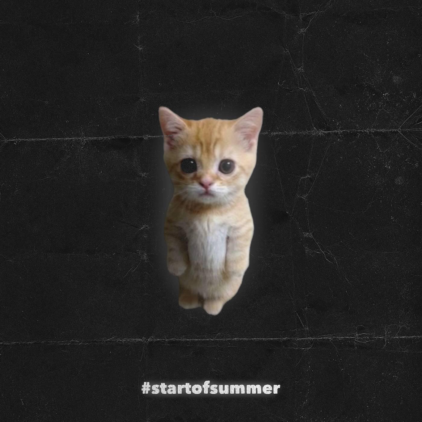 Релиз #startofsummer