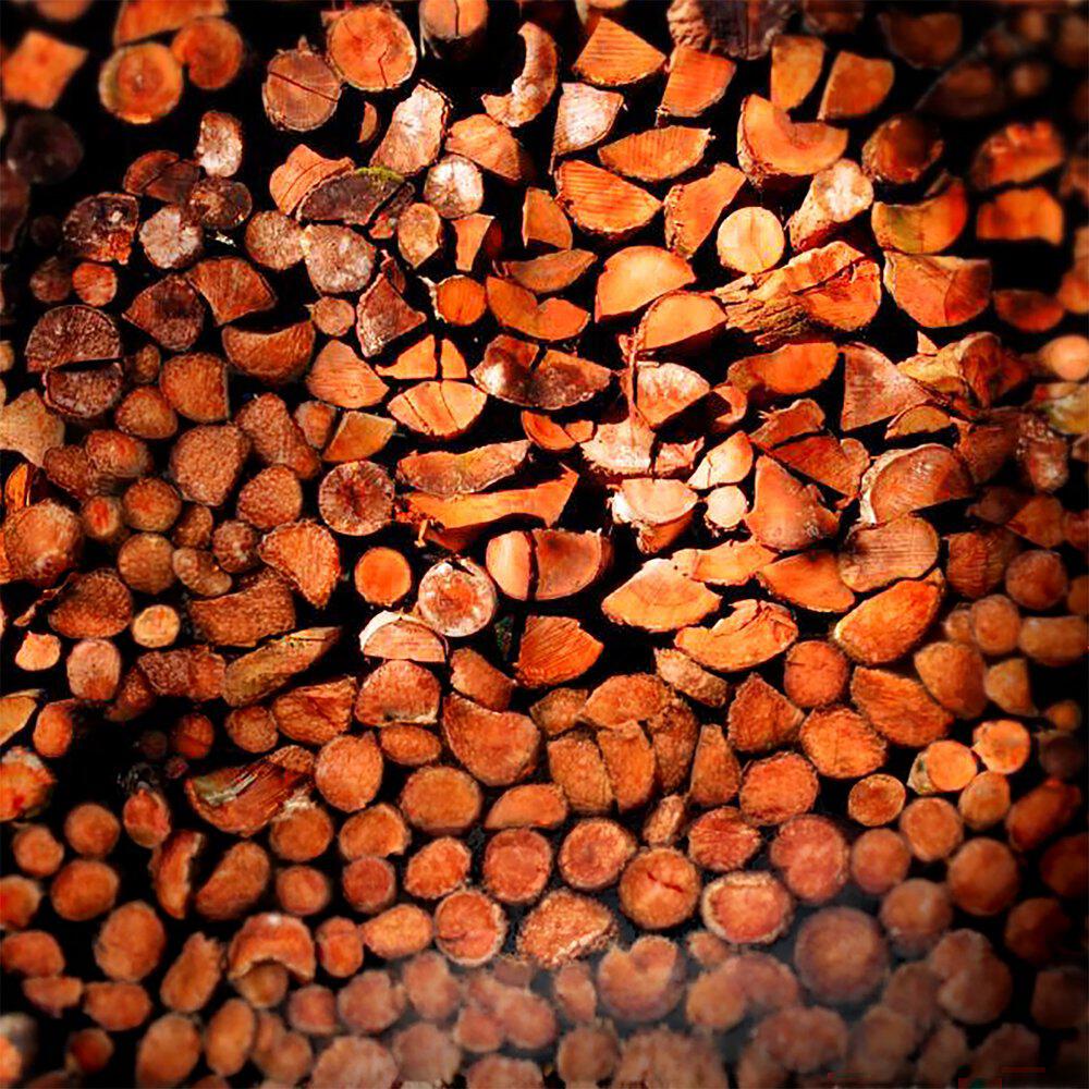 Релиз Woodcutter