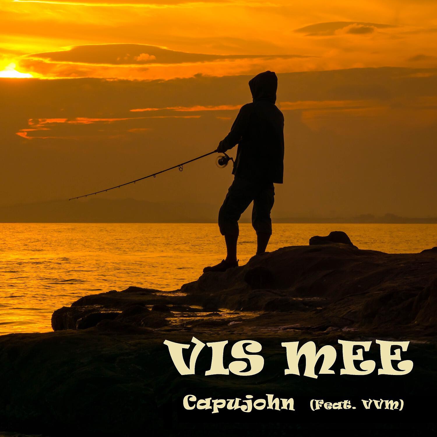 Релиз Vis Mee