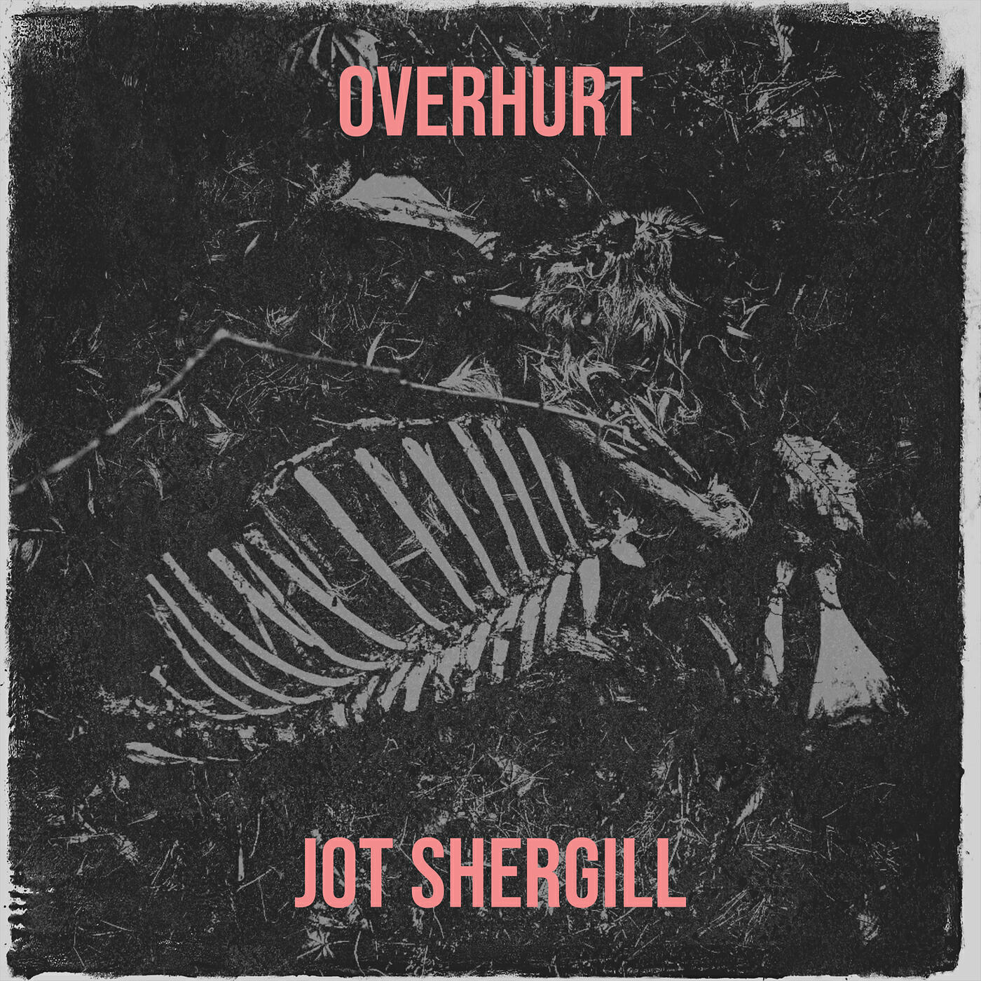Jot Shergill
