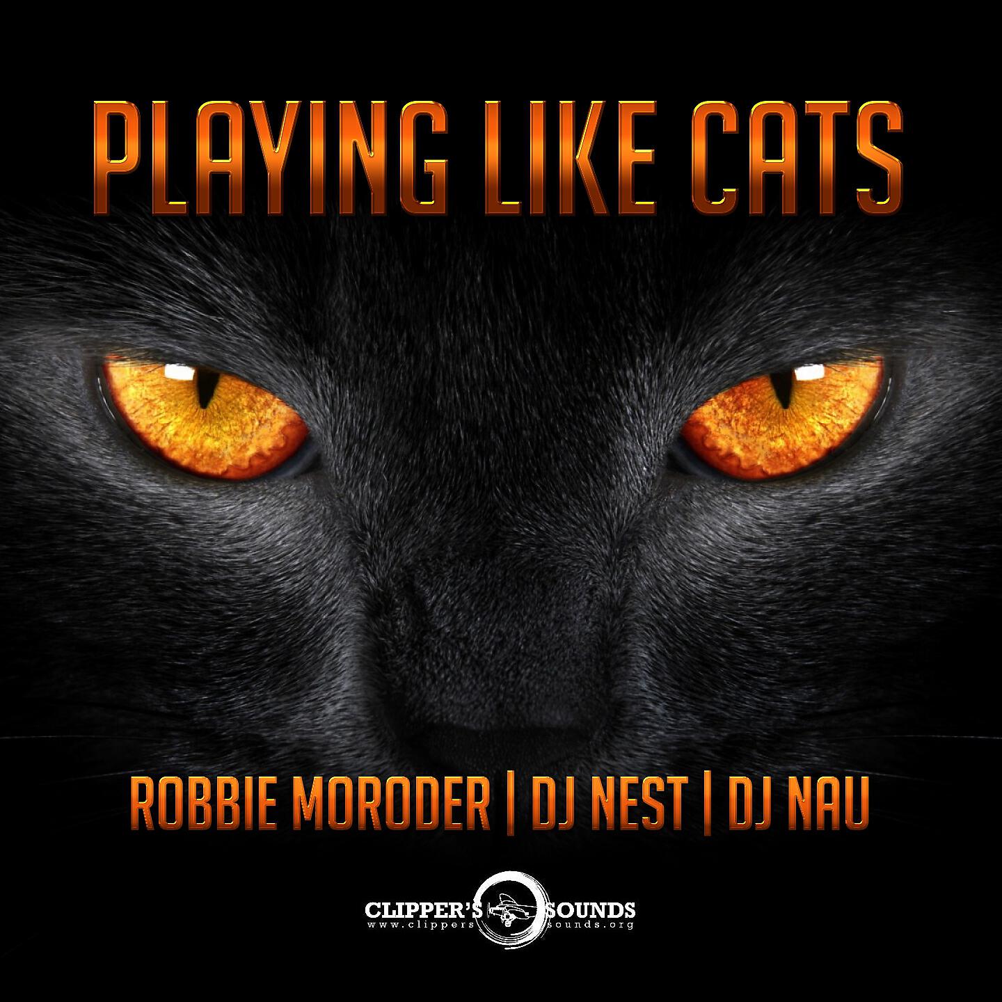 Релиз Playing Like Cats