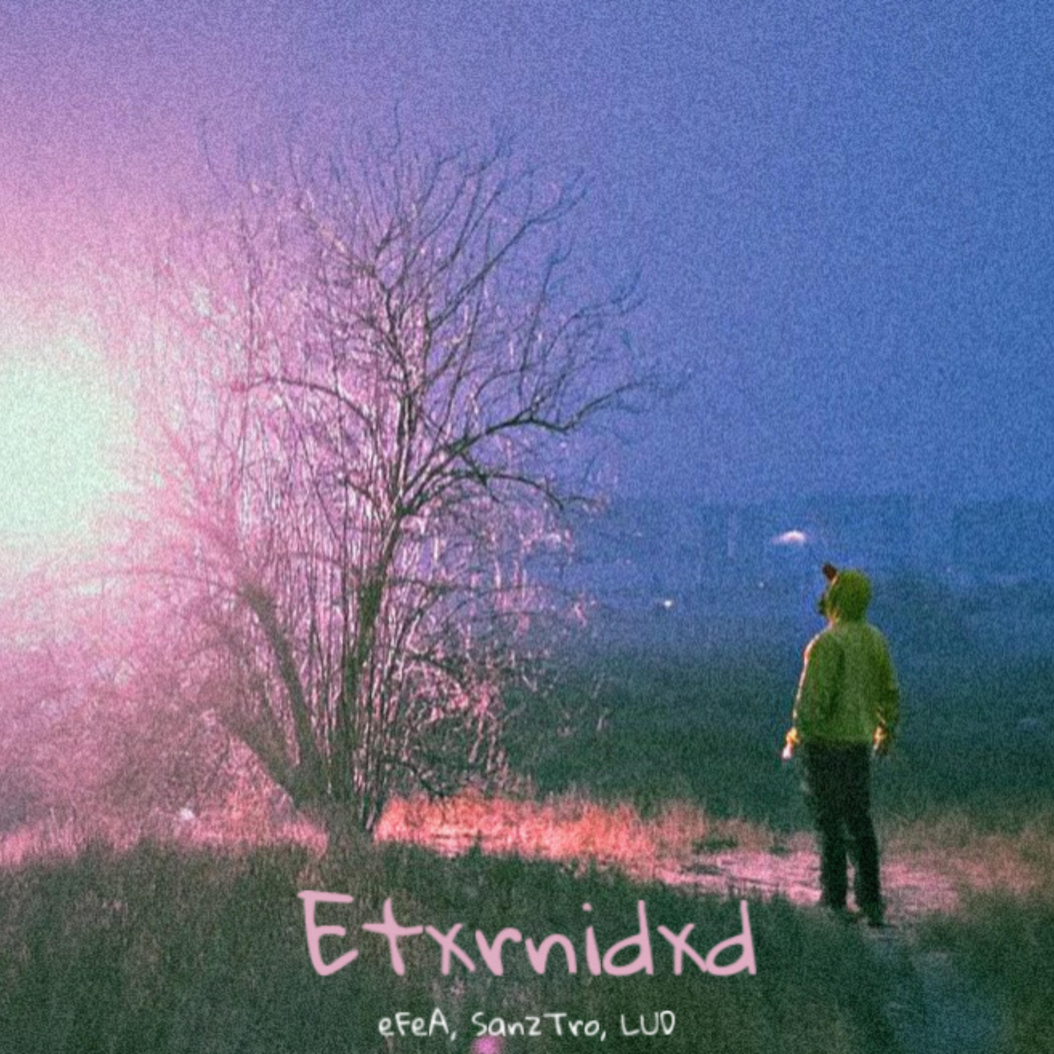 Релиз Etxrnidxd