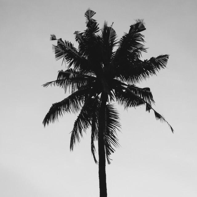 Волна по релизу