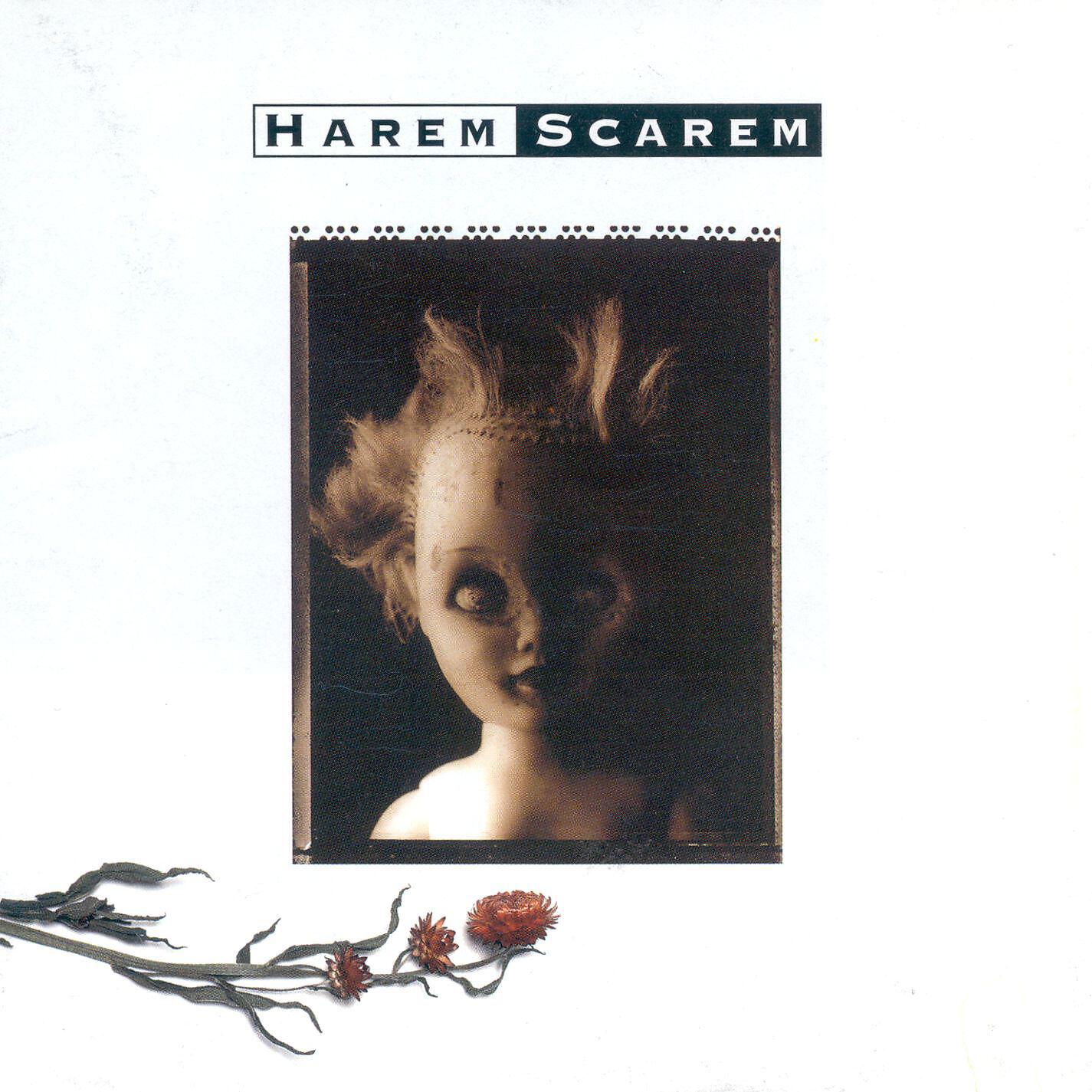 Релиз Harem Scarem