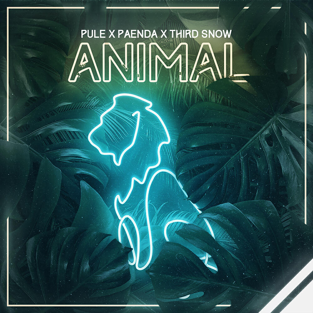 Скачать песню Pule, Paenda, Third Snow - Animal бесплатно в MP3 для Android и iOS
