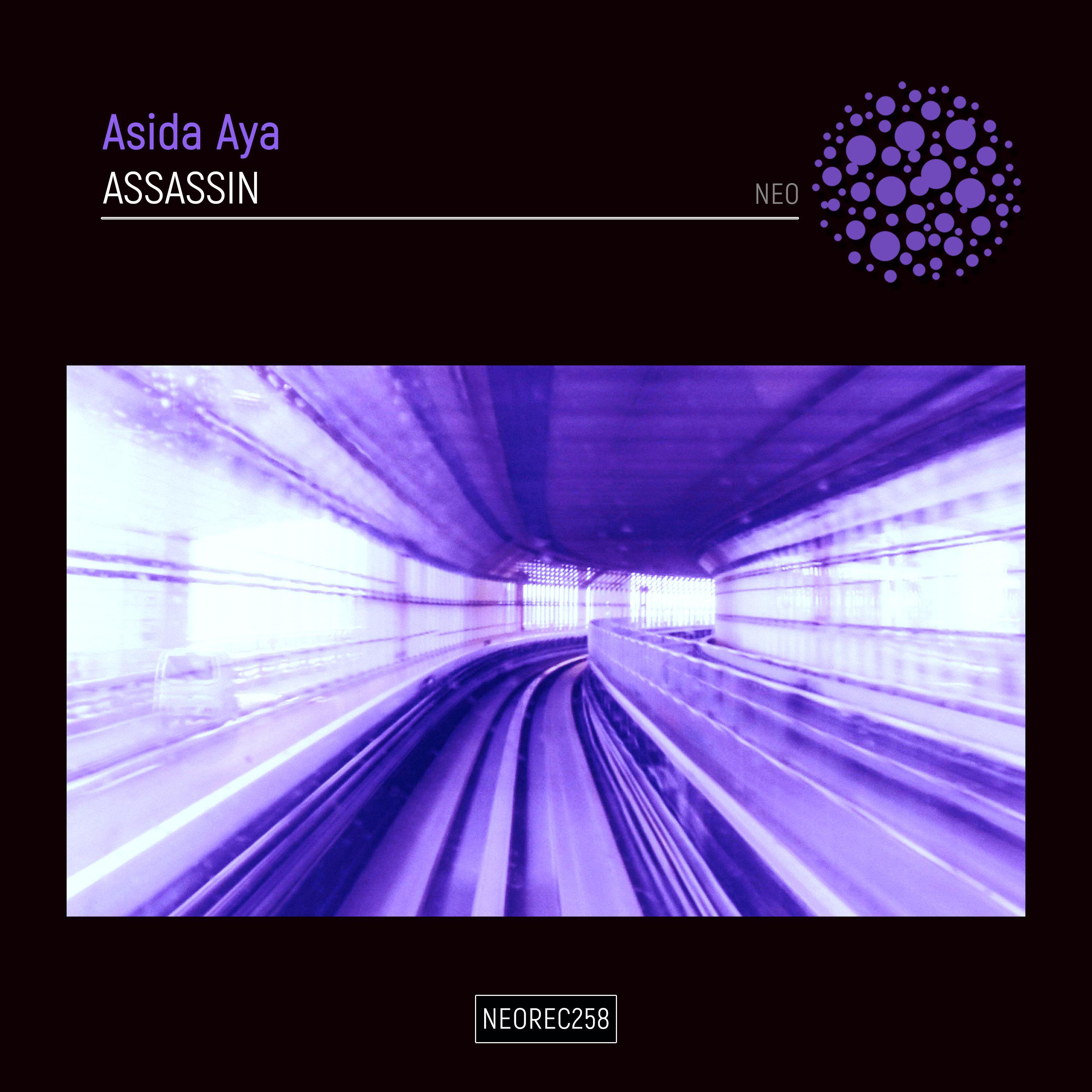Релиз Assassin