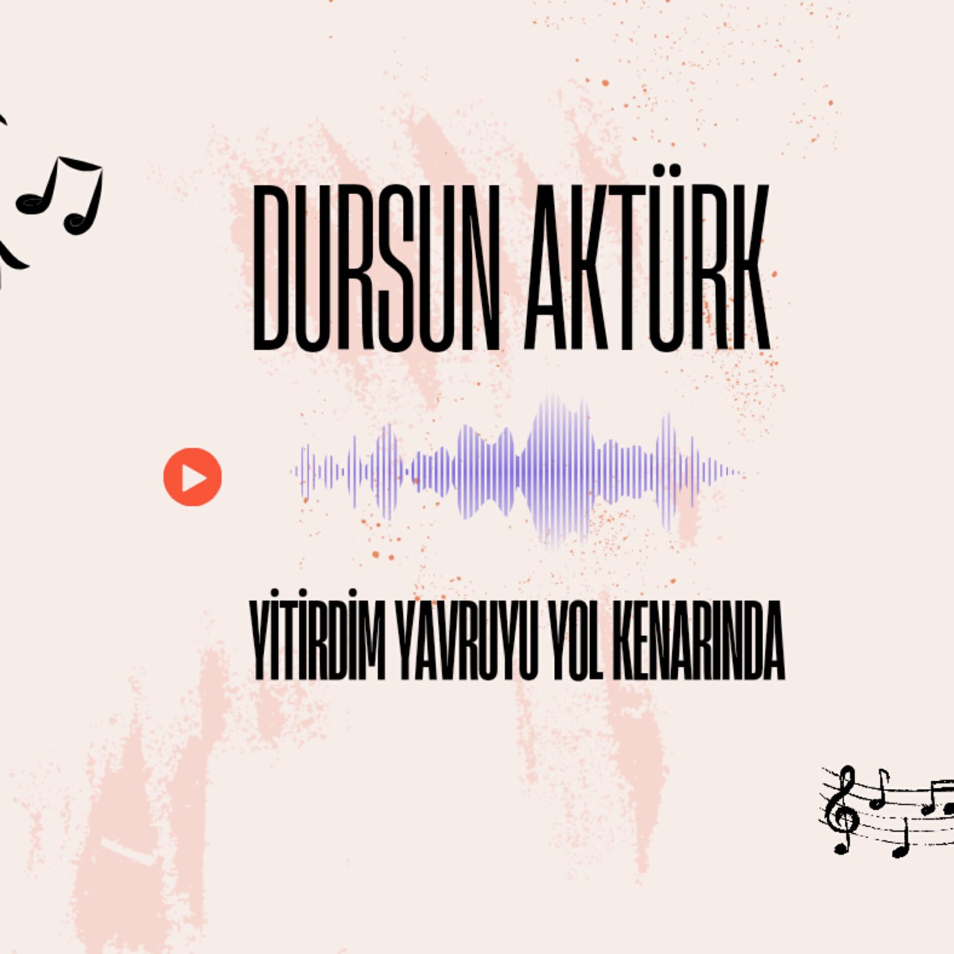 Релиз Yitirdim Yavruyu Yol Kenarında