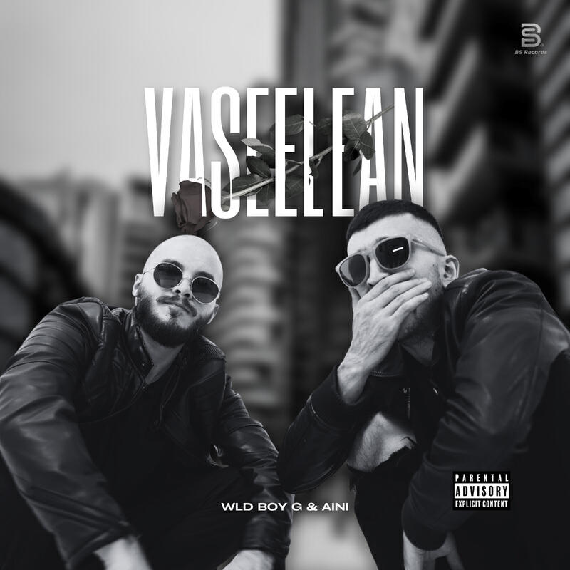 Релиз VASEELEAN