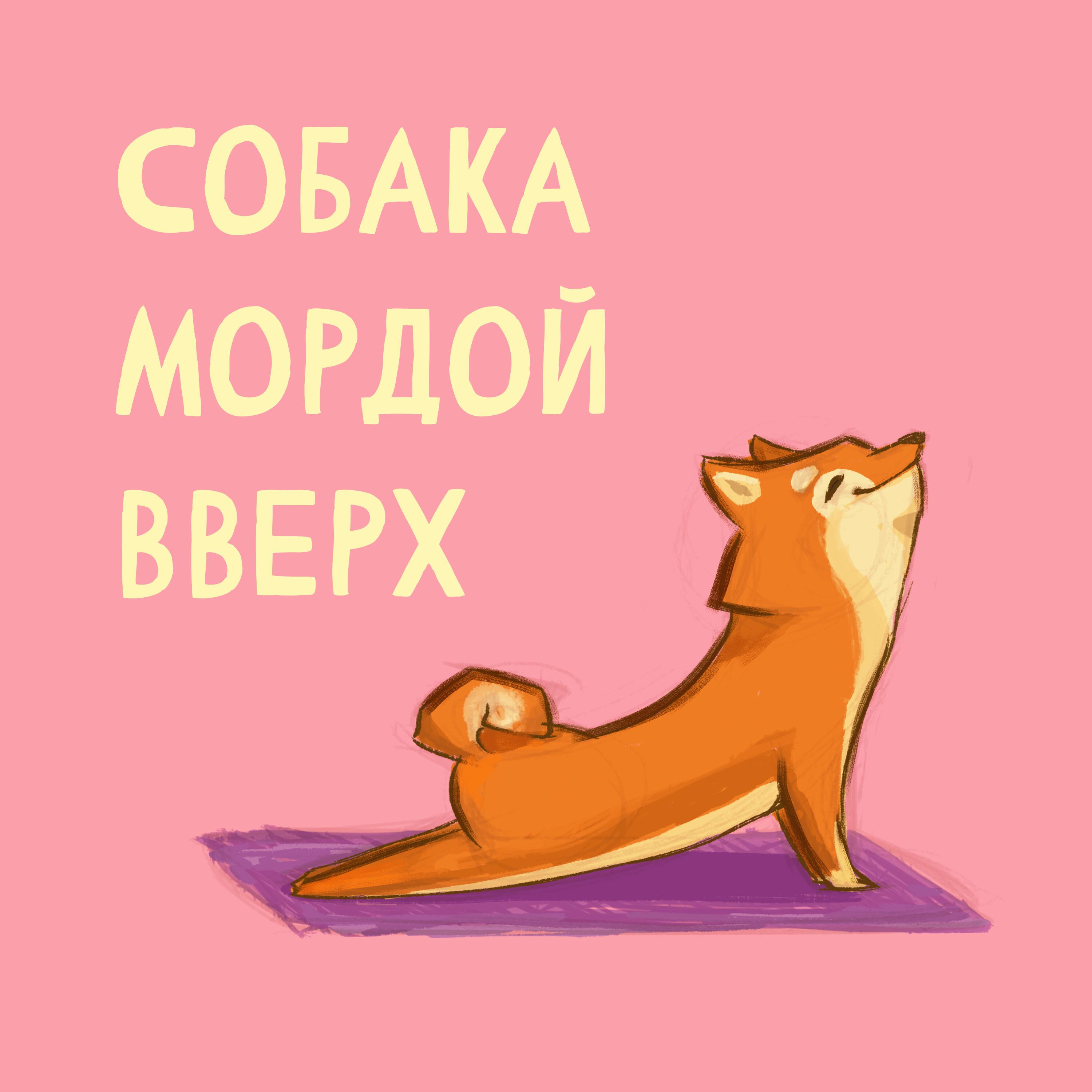 Подкаст Собака мордой вверх