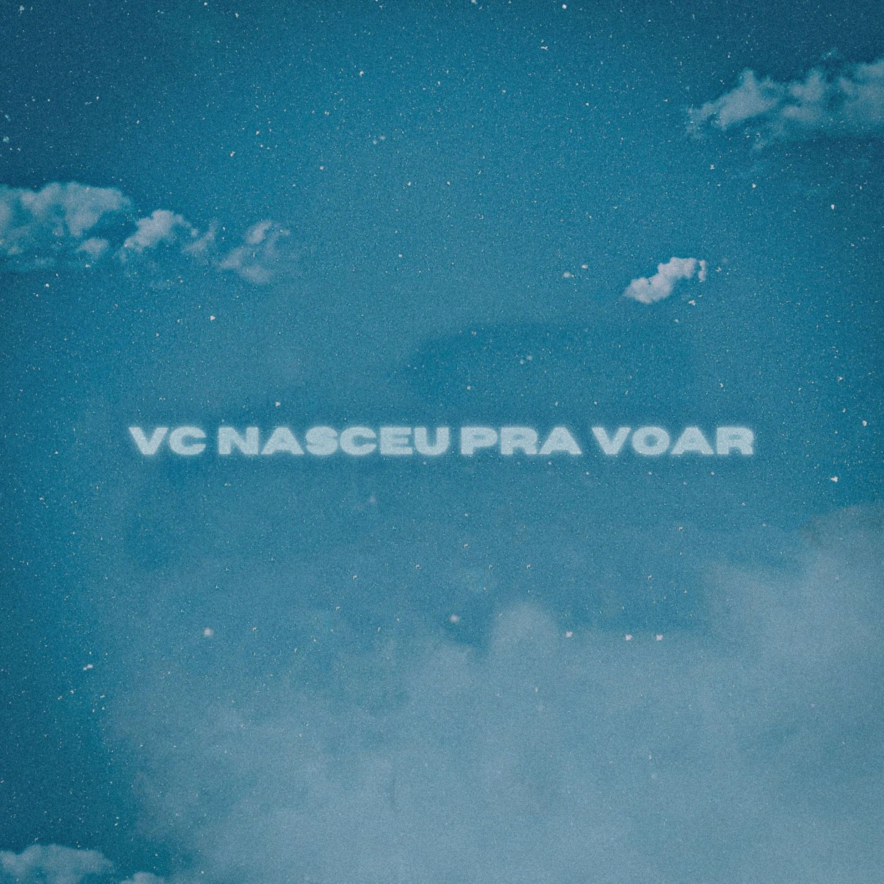 Релиз Você Nasceu pra Voar